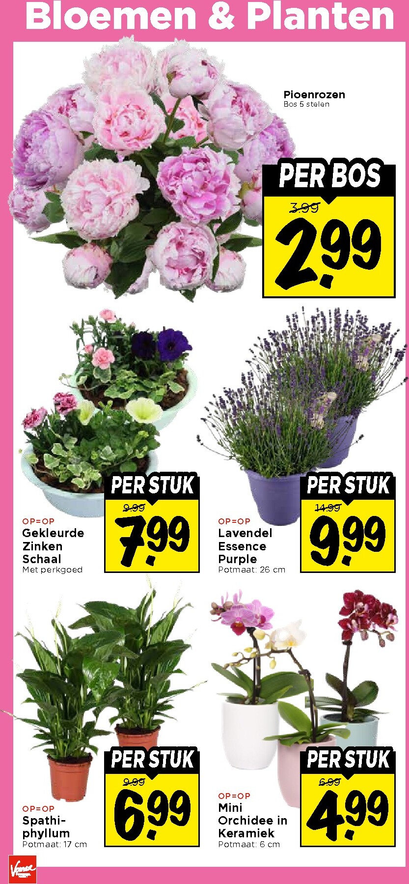 vomar - Huidige Vomar folder geldig van zondag 07-06-2026 tot zaterdag 13-06-2026 - page: 41