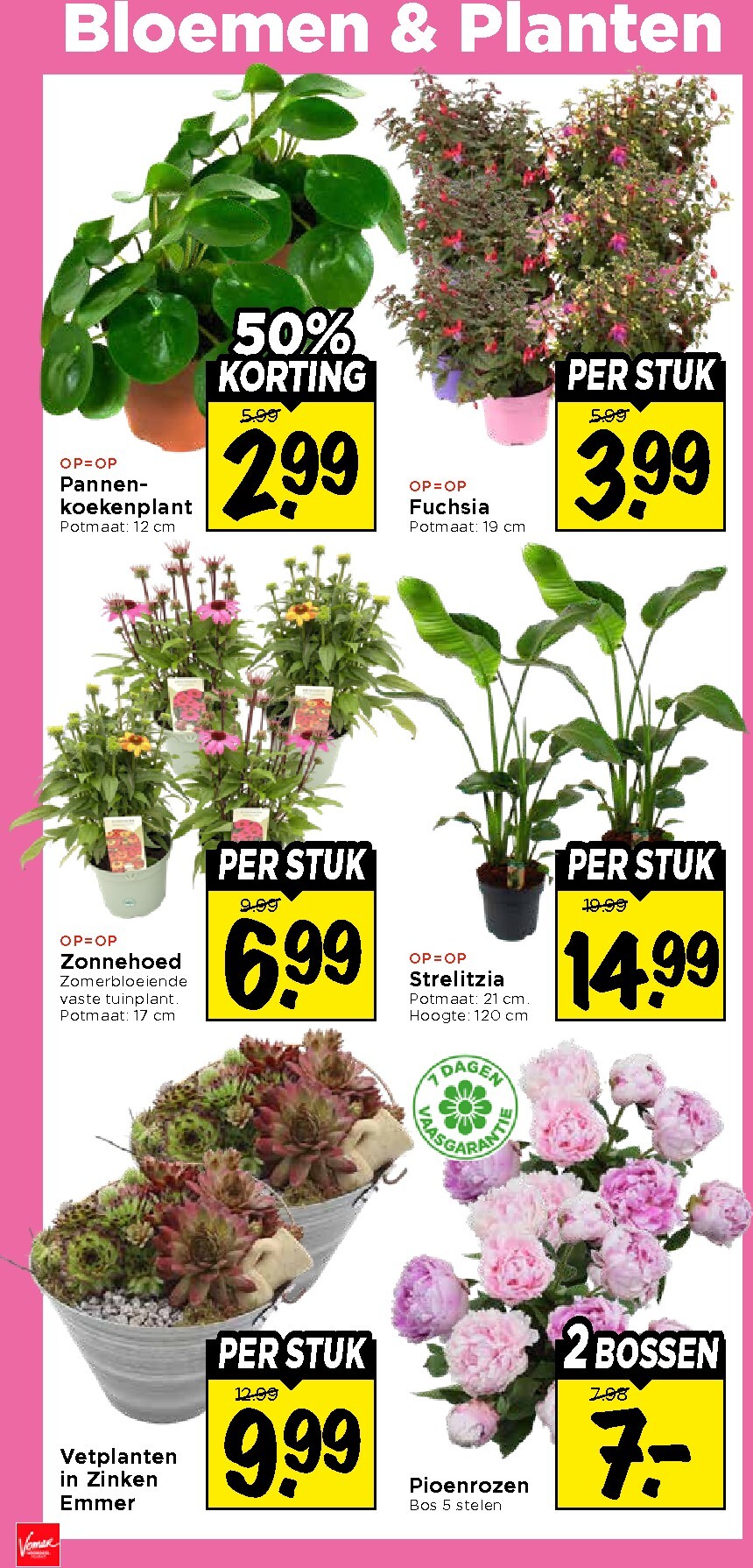 vomar - Huidige Vomar folder geldig van donderdag 18-06-2026 tot zaterdag 20-06-2026 - page: 41