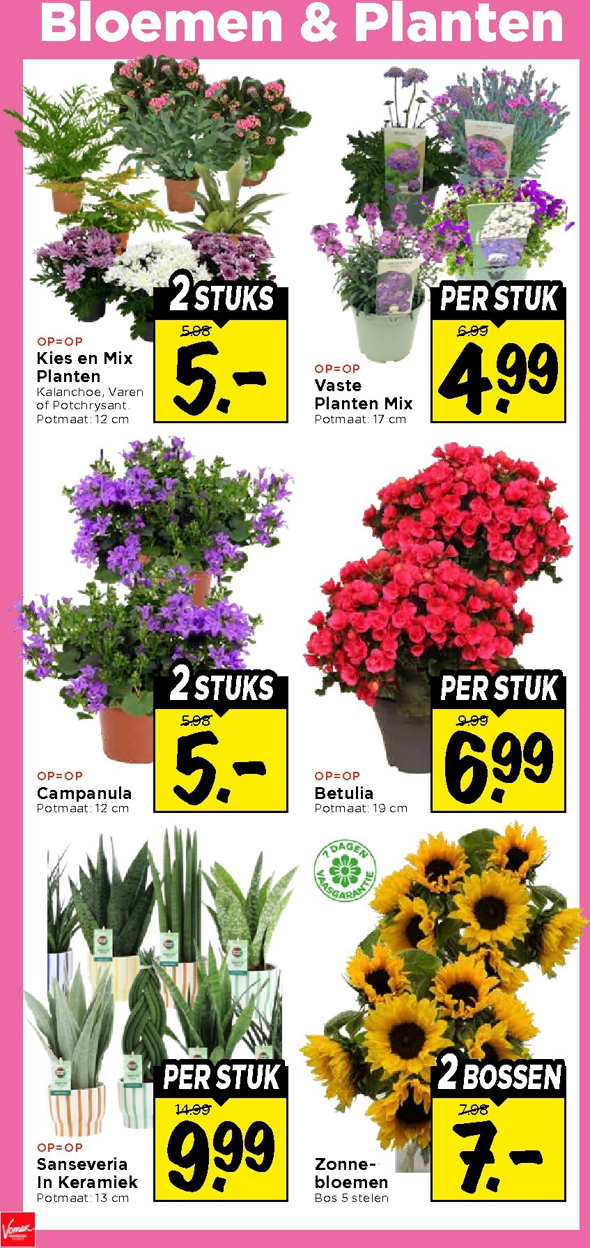 vomar - Vomar folder voor volgende week van zondag 21-06-2026 tot zaterdag 27-06-2026 - page: 37
