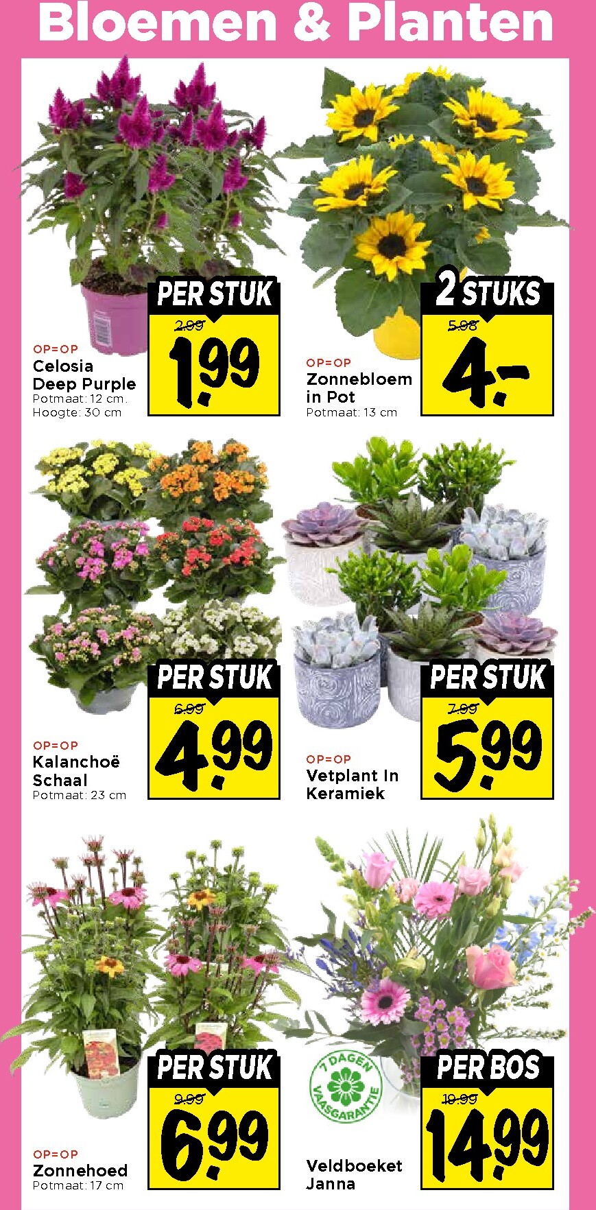 vomar - Huidige Vomar folder geldig van donderdag 30-07-2026 tot zaterdag 01-08-2026 - page: 35