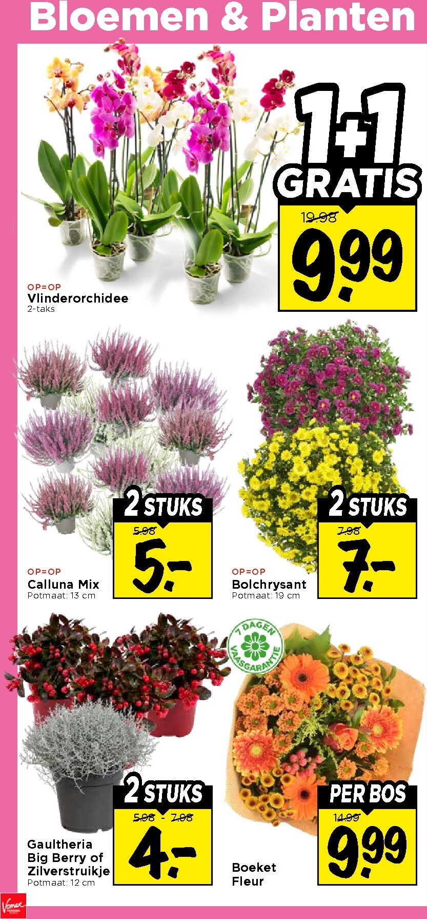 vomar - Vomar folder voor volgende week van zondag 04-10-2026 tot zaterdag 10-10-2026 - page: 31
