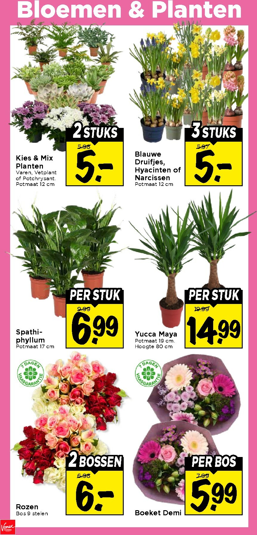 vomar - De Vomar folder geldig vanaf 04-01 t/m 10-01 - page: 33