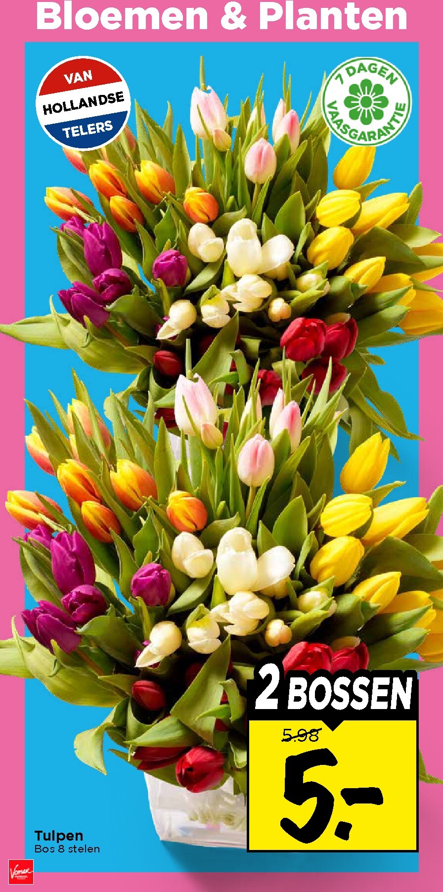 vomar - De Vomar folder geldig vanaf 08-03-2026 t/m 14-03-2026 - page: 31