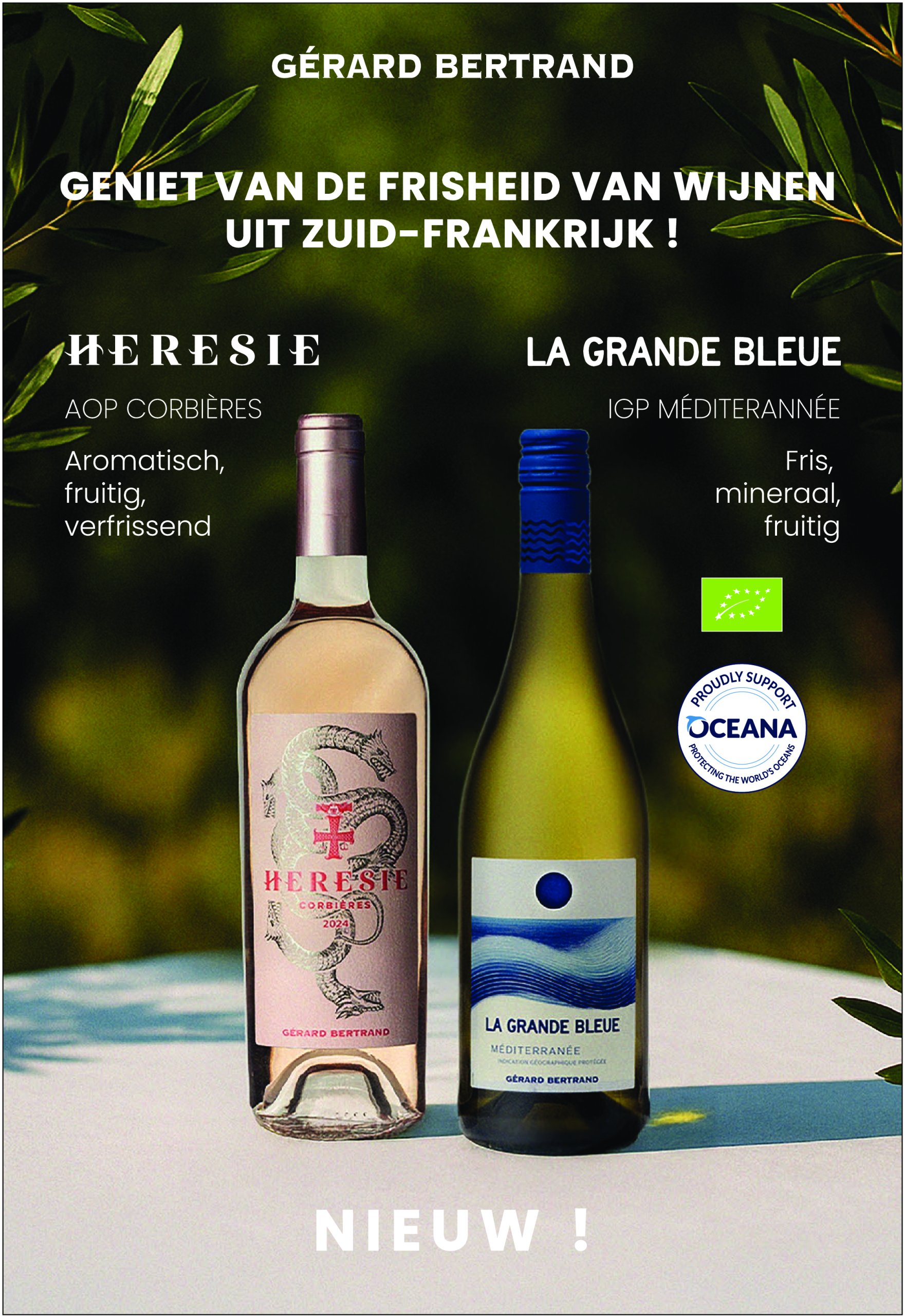 sligro - Sligro - Spaaractie Musical folder geldig vanaf 05-06 t/m 23-06 - page: 75 sligro - Sligro - Spaaractie Musical folder geldig vanaf 05-06 t/m 23-06 - page: 75