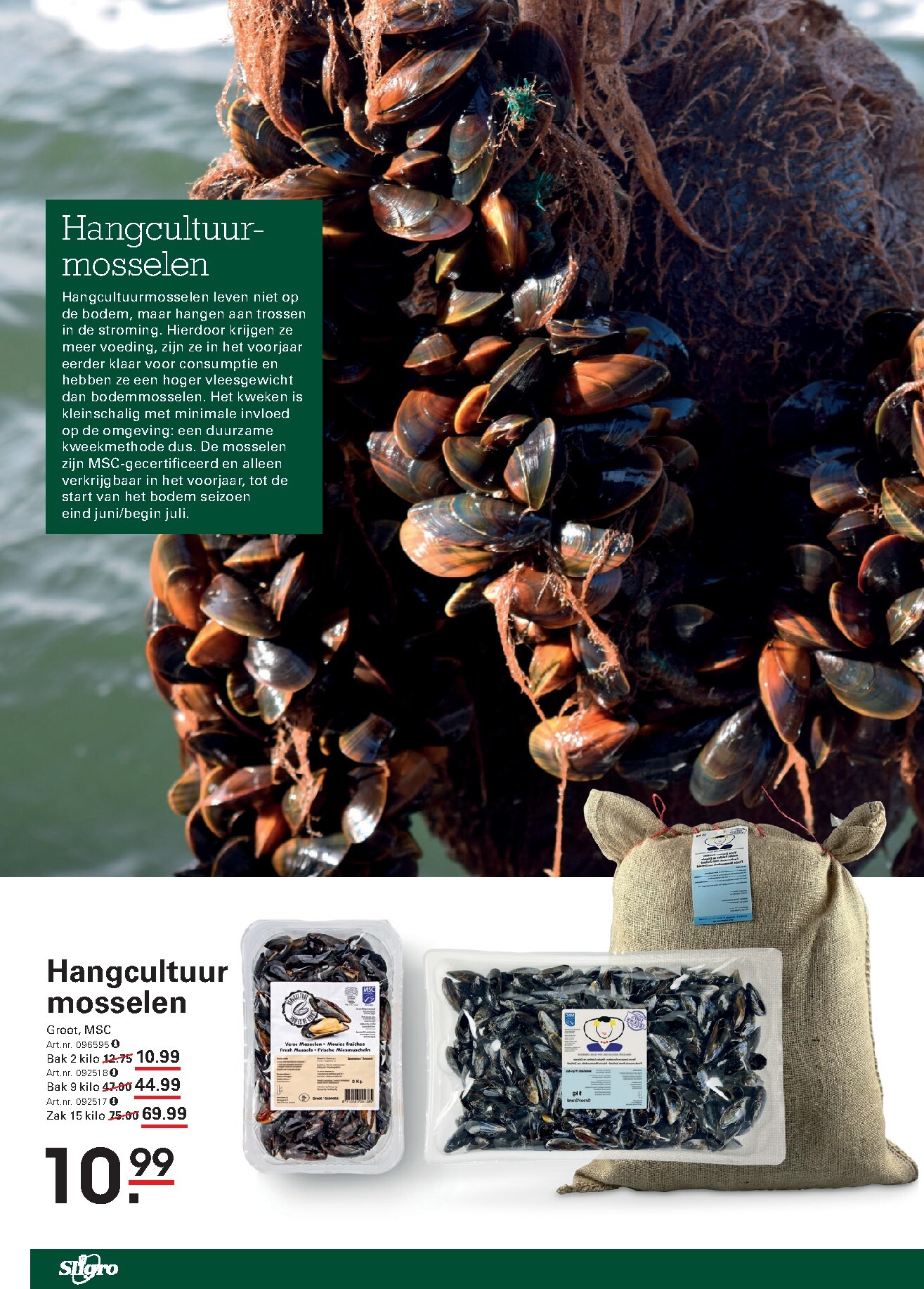 sligro - Huidige Sligro - Terras Special: BBQ folder geldig van donderdag 09-04-2026 tot maandag 27-04-2026 - page: 48