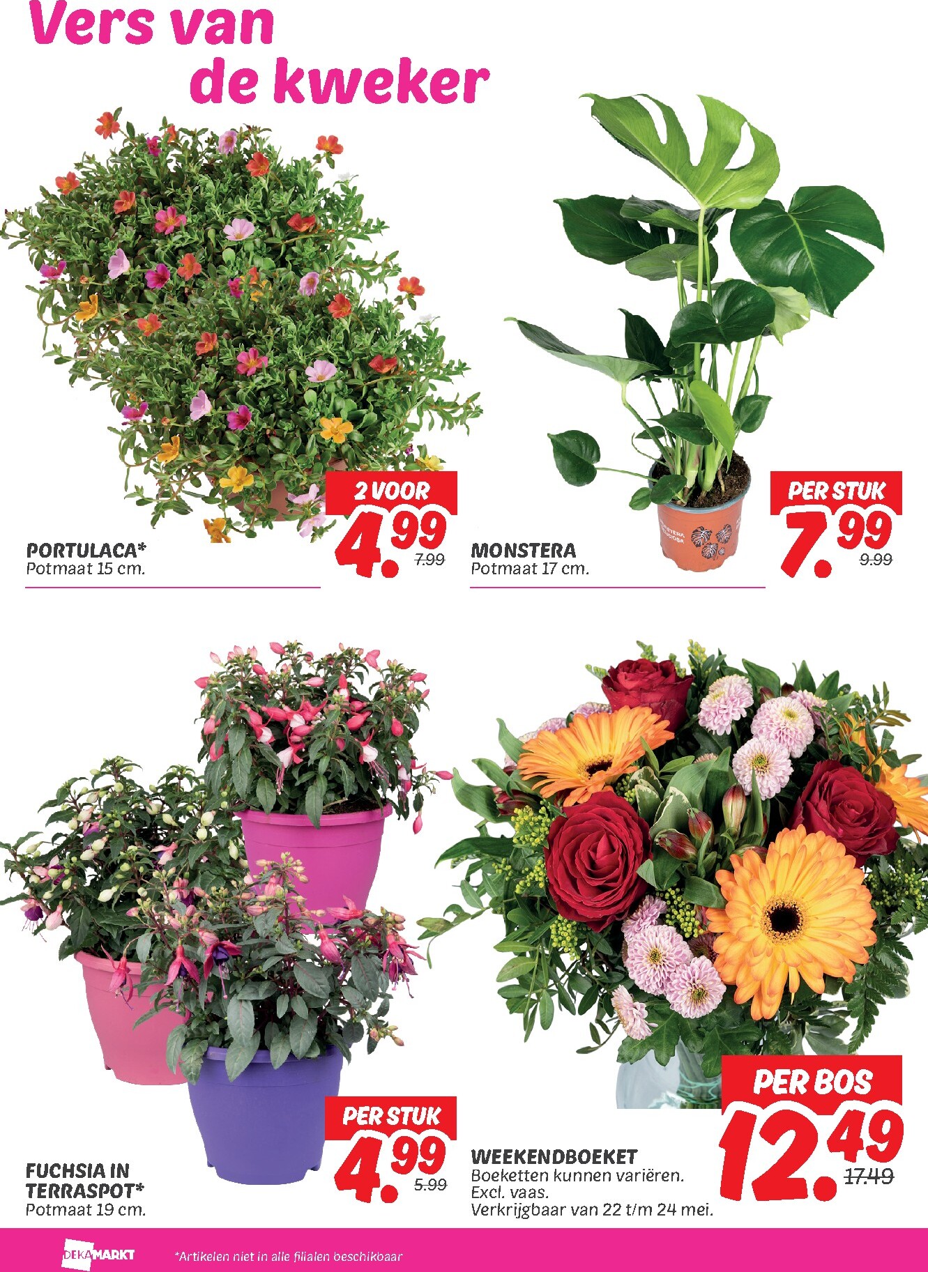 dekamarkt - Dekamarkt folder voor volgende week van dinsdag 19-05-2026 tot maandag 25-05-2026 - page: 24