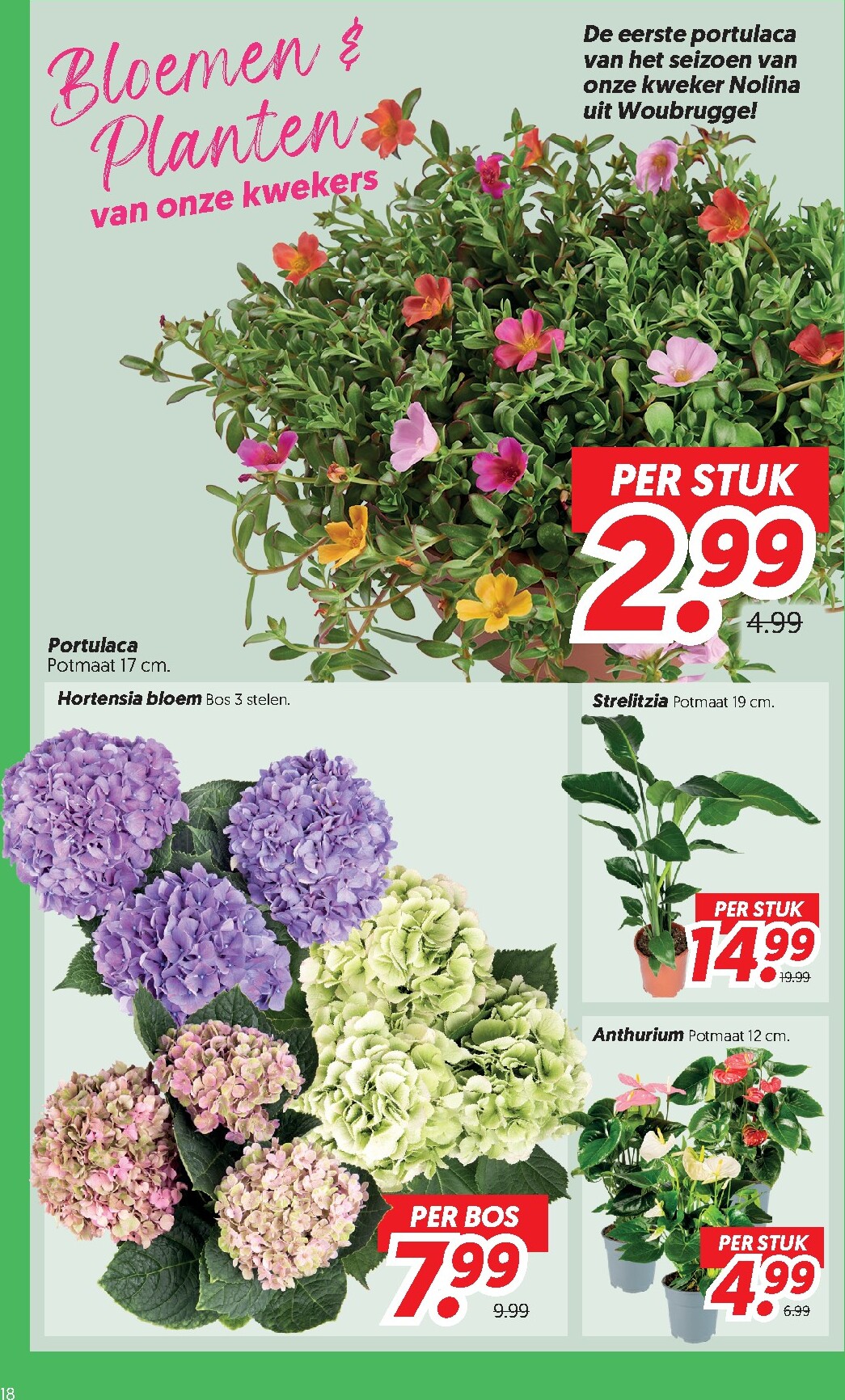 dekamarkt - Dekamarkt folder voor volgende week van dinsdag 09-06-2026 tot maandag 15-06-2026 - page: 18