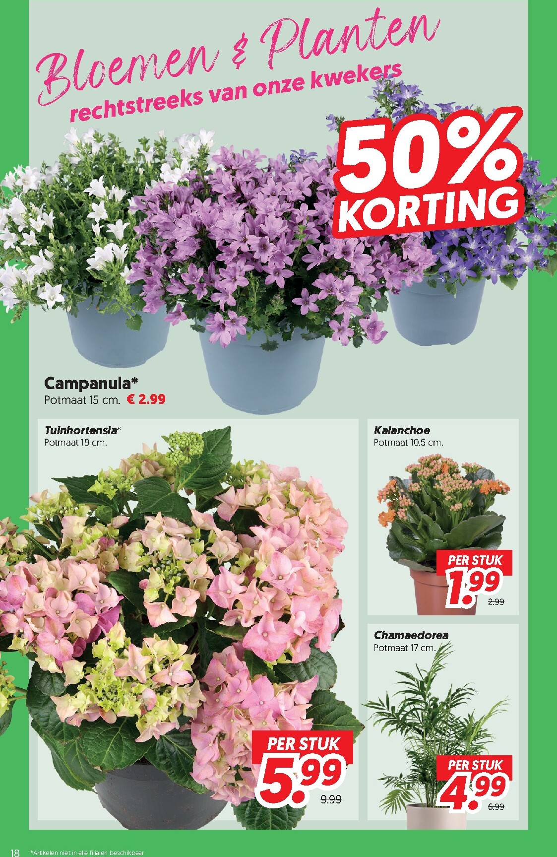 dekamarkt - Dekamarkt folder voor volgende week van dinsdag 16-06-2026 tot maandag 22-06-2026 - page: 18