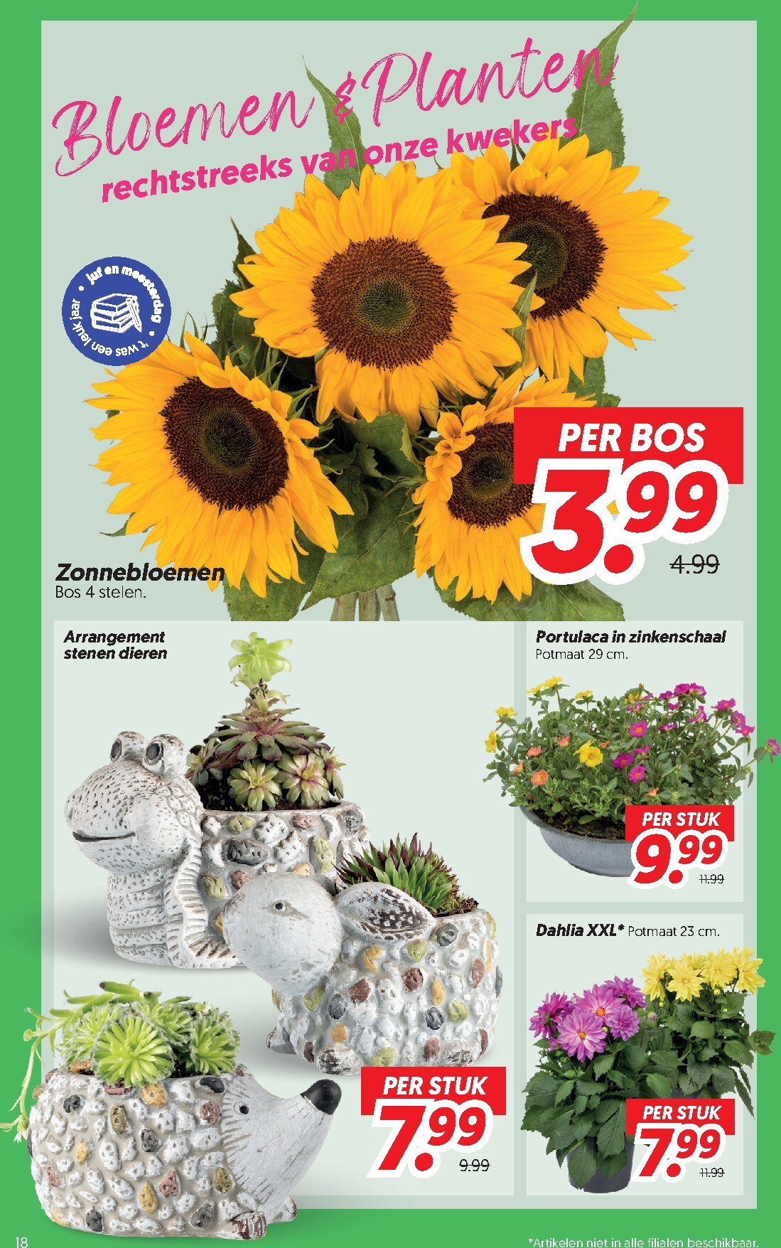 dekamarkt - Toekomstige Dekamarkt folder geldig van dinsdag 23-06-2026 tot maandag 29-06-2026 - page: 18