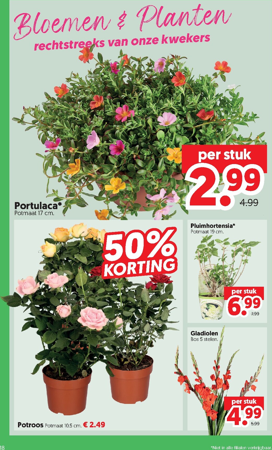 dekamarkt - Dekamarkt folder voor volgende week van dinsdag 07-07-2026 tot maandag 13-07-2026 - page: 18
