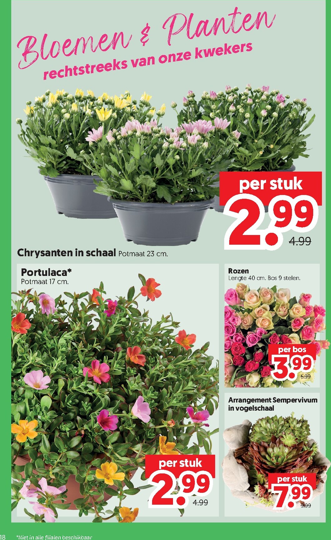 dekamarkt - Dekamarkt folder voor volgende week van dinsdag 28-07-2026 tot maandag 03-08-2026 - page: 18