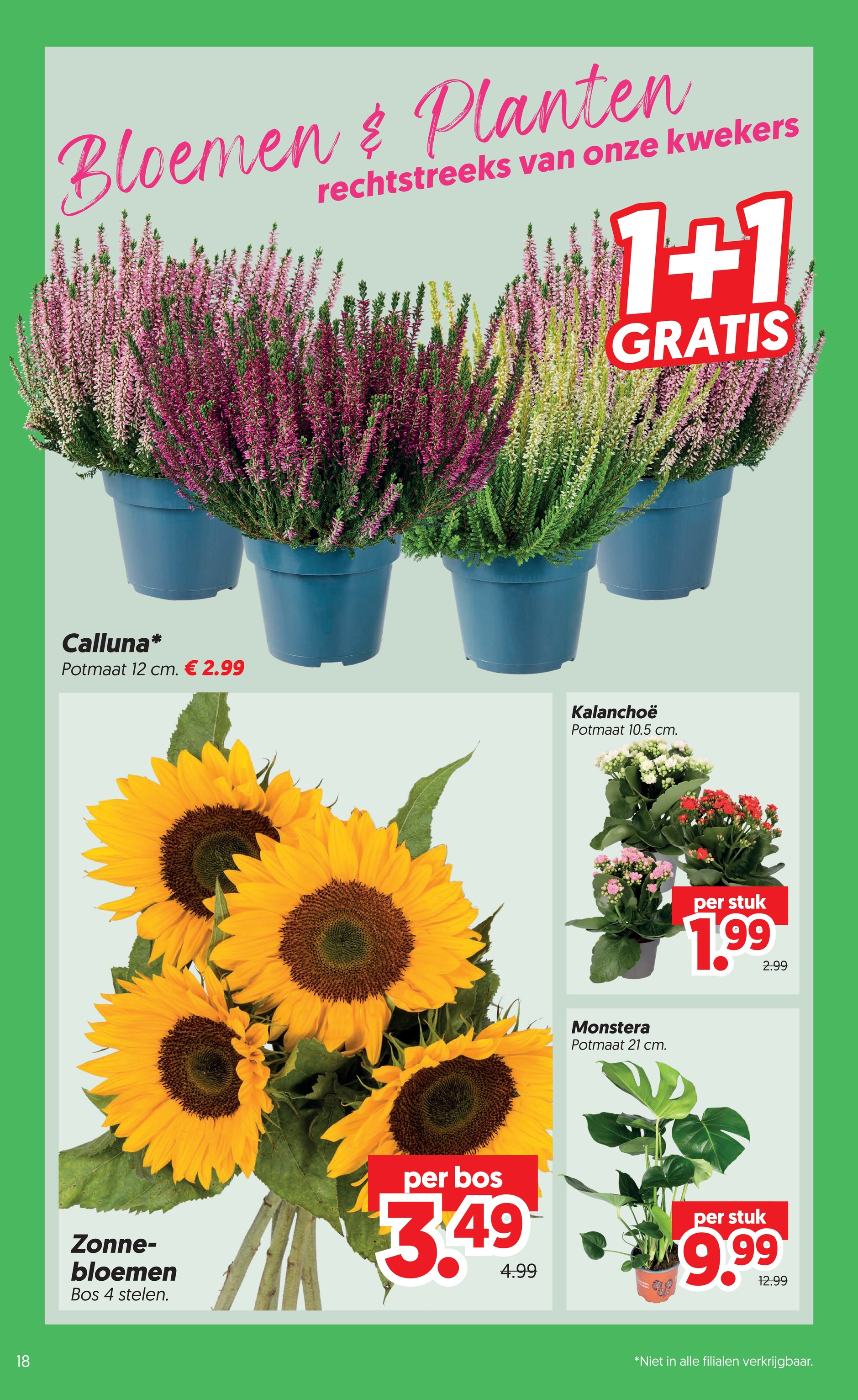 dekamarkt - Dekamarkt folder voor volgende week van dinsdag 01-09-2026 tot maandag 07-09-2026 - page: 20