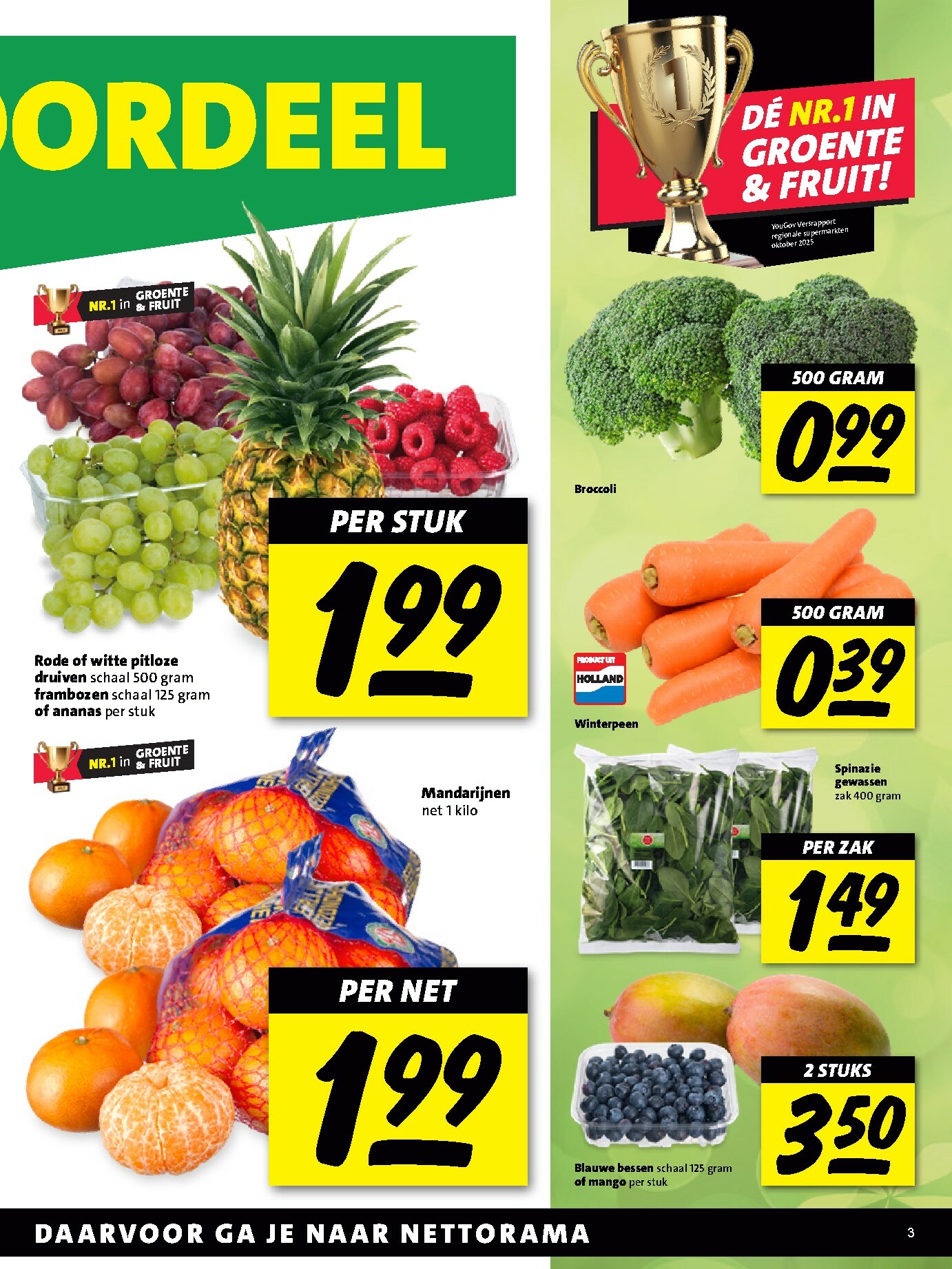 nettorama - De Nettorama folder geldig vanaf 12-01 t/m 18-01 - page: 3