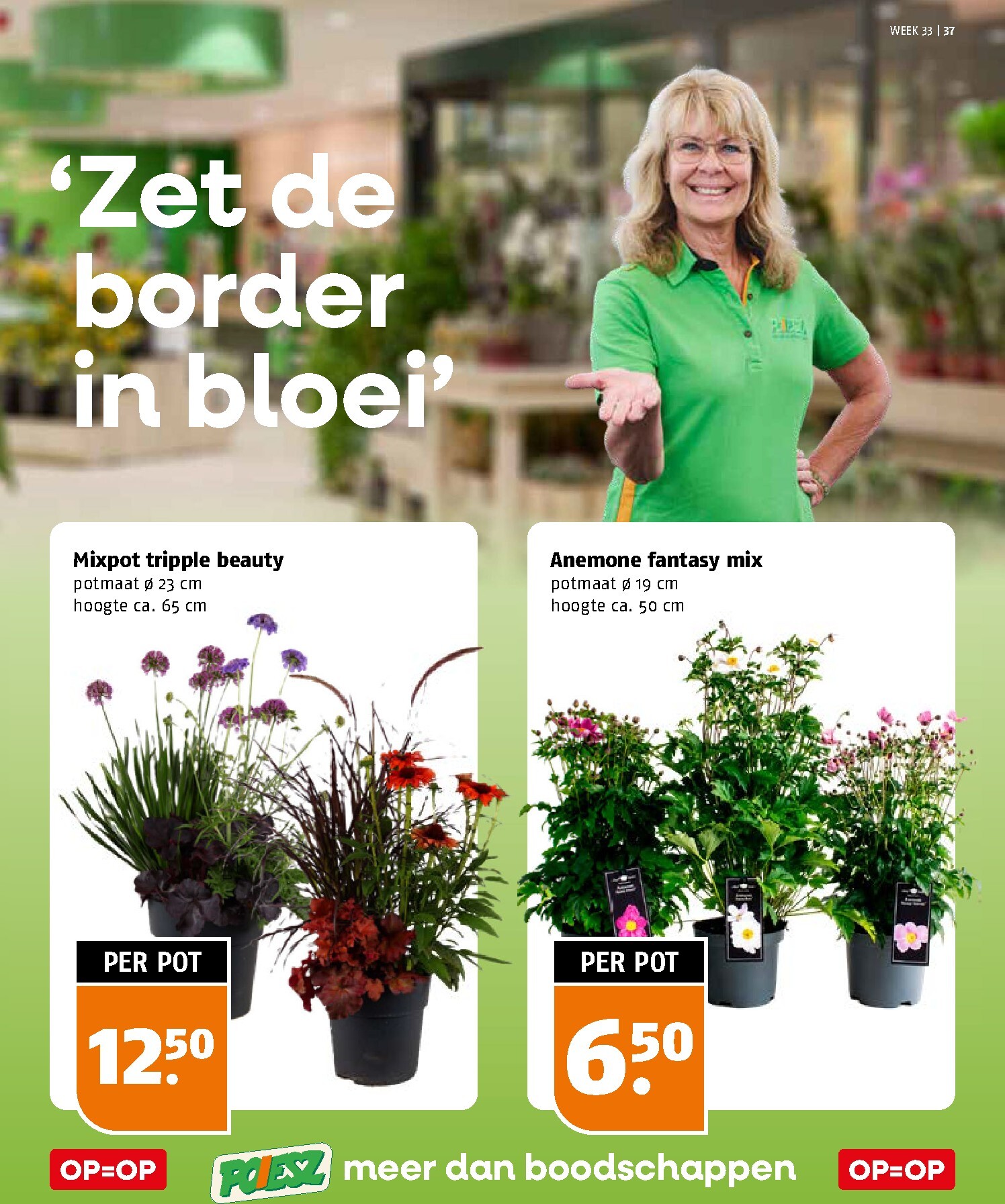 poiesz - Poiesz folder voor volgende week van zondag 09-08-2026 tot zaterdag 15-08-2026 - page: 37