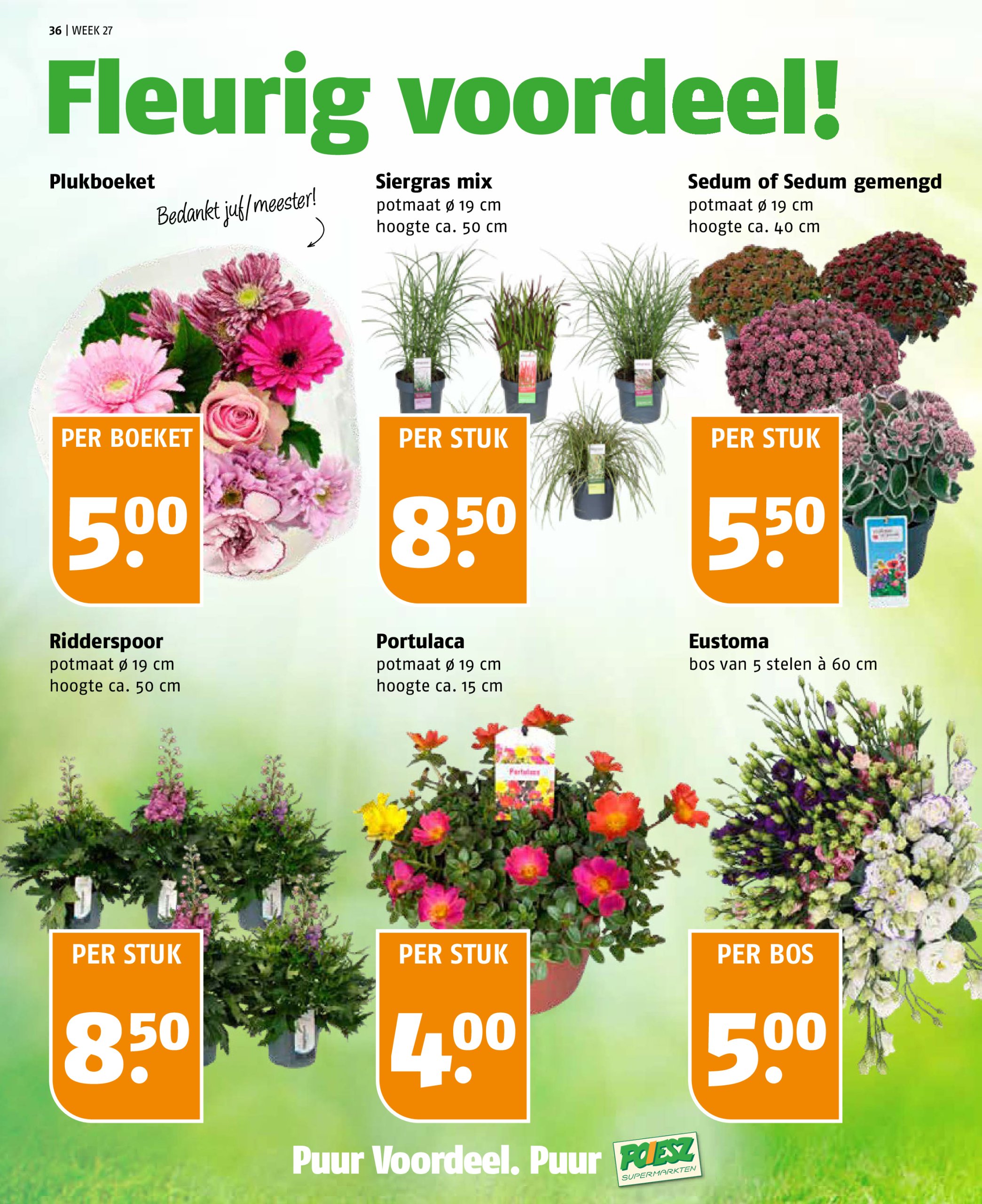 poiesz - Poiesz folder geldig vanaf 29-06 t/m 05-07 - page: 36