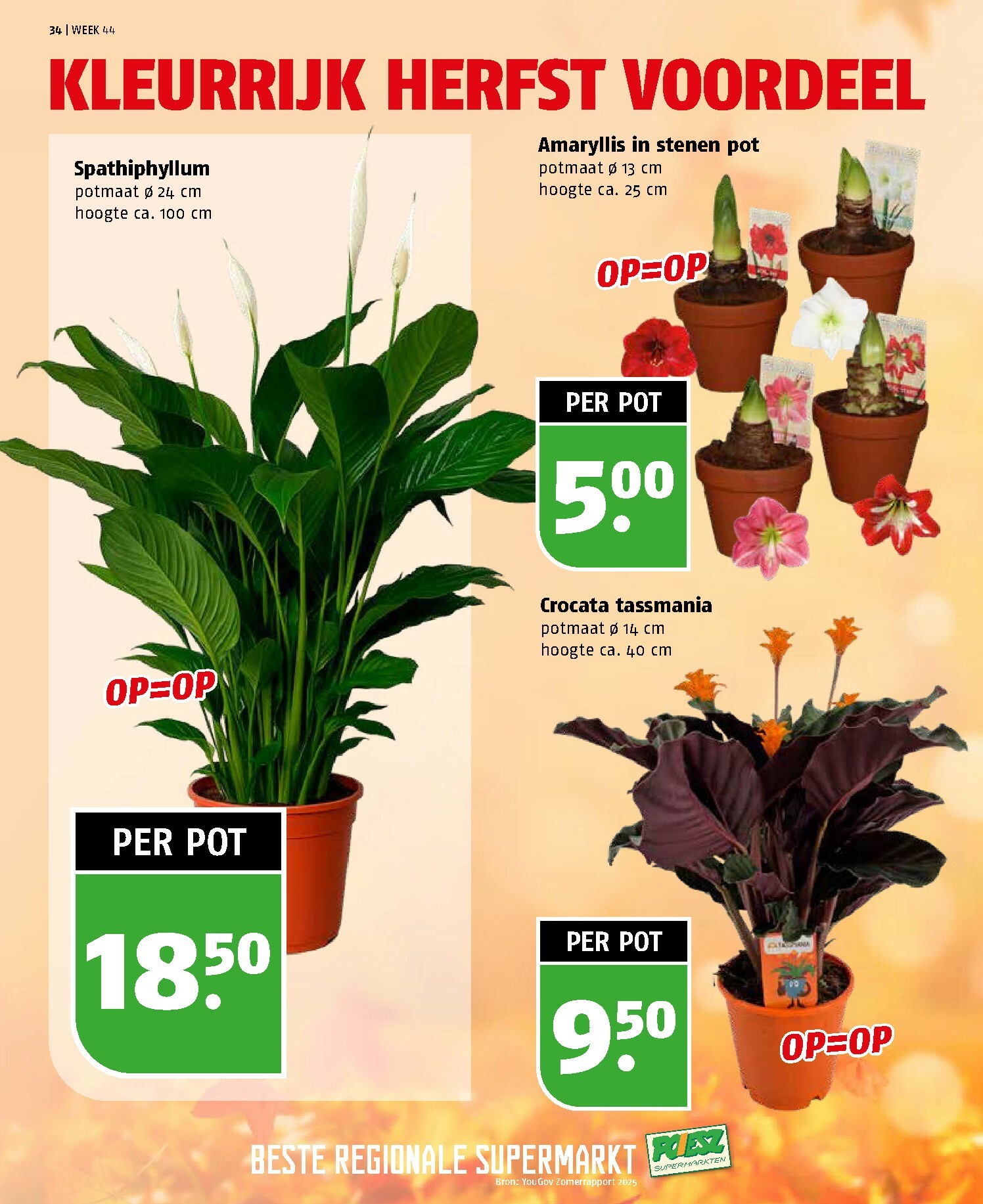 poiesz - De Poiesz folder geldig vanaf 26-10 t/m 01-11 - page: 34