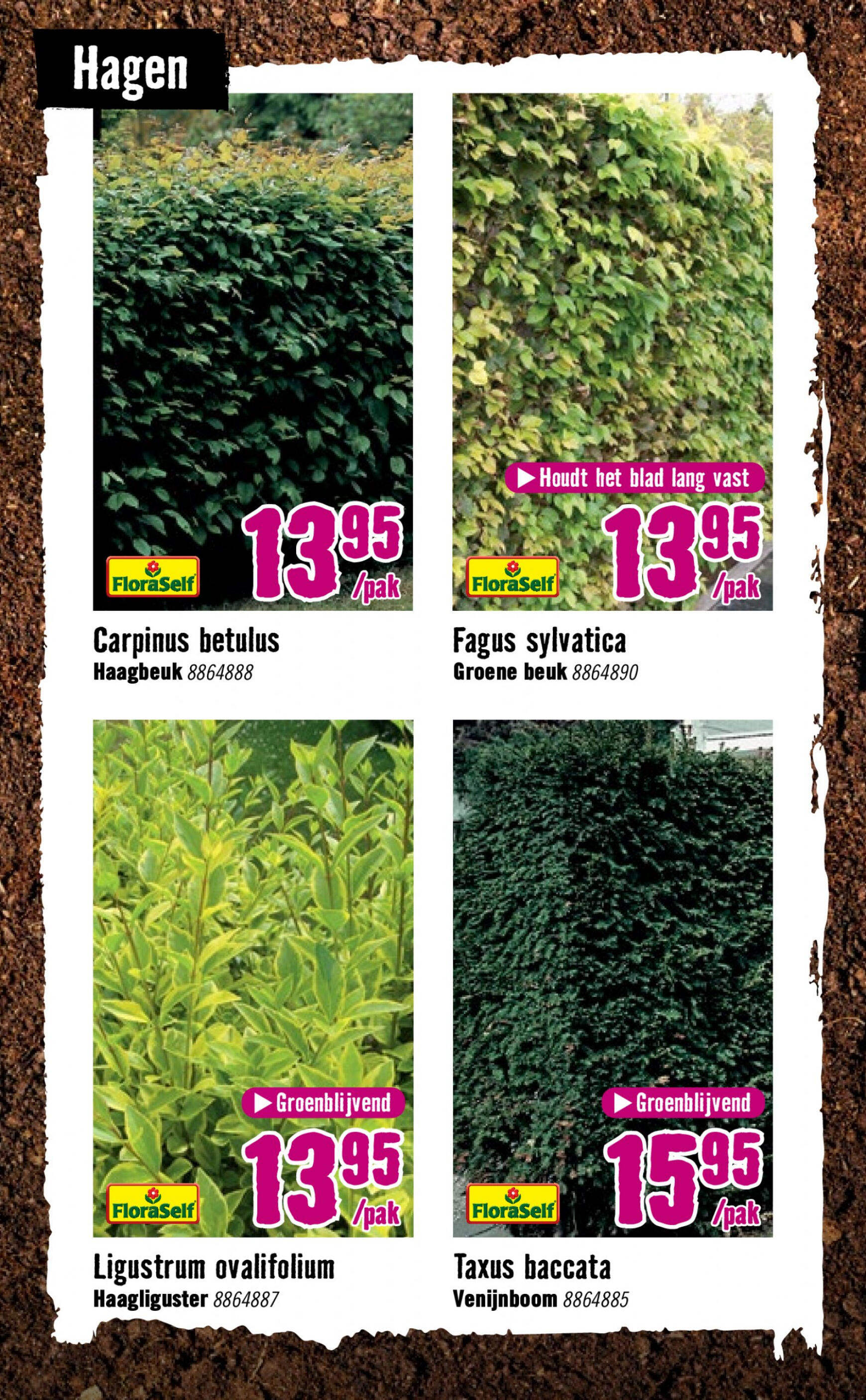 hornbach - Hornbach folder huidig 12.04. - 12.05. - page: 26 hornbach - Hornbach folder huidig 12.04. - 12.05. - page: 26