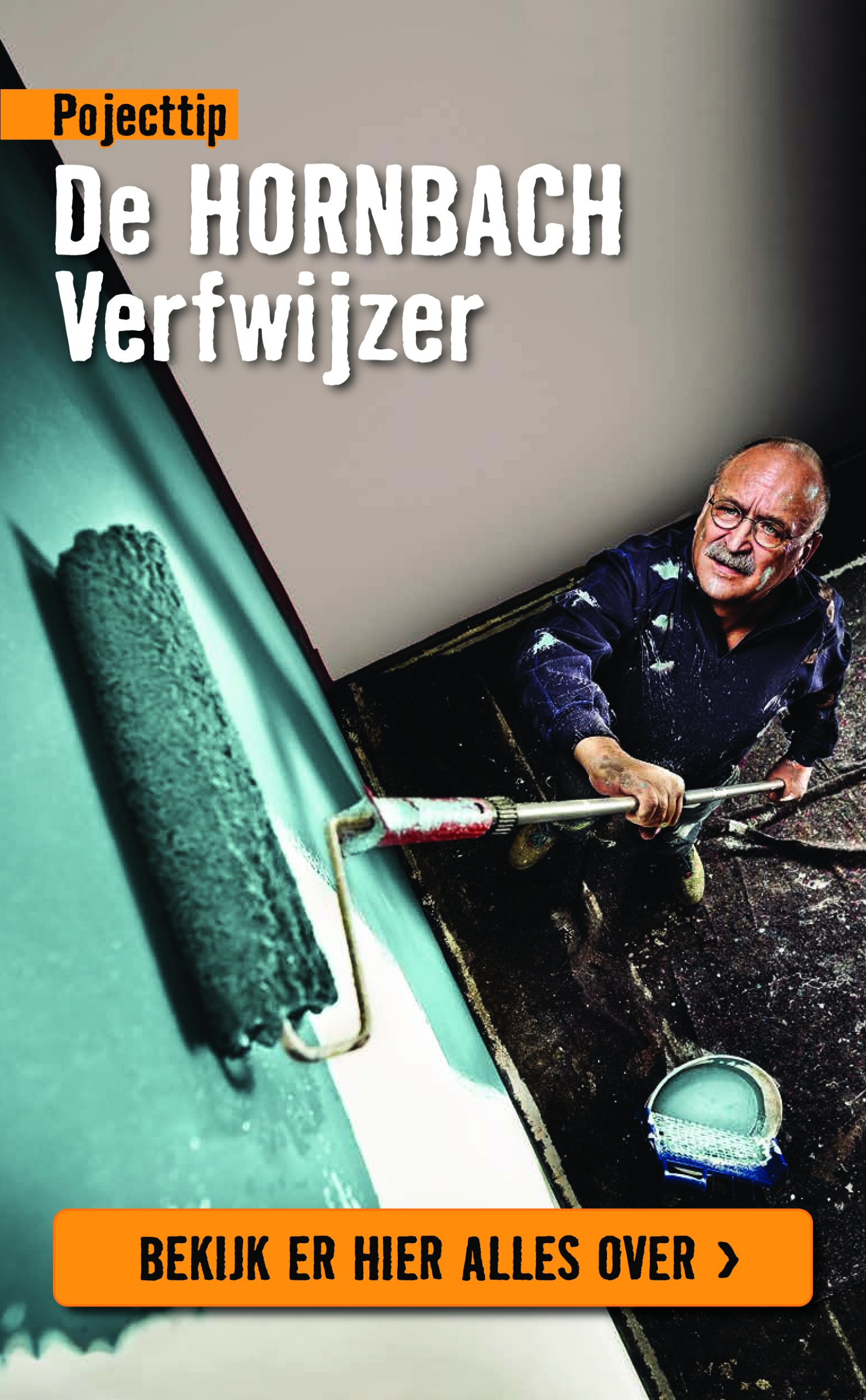 hornbach - Hornbach folder geldig vanaf 06-01 t/m 02-02 - page: 41 hornbach - Hornbach folder geldig vanaf 06-01 t/m 02-02 - page: 41