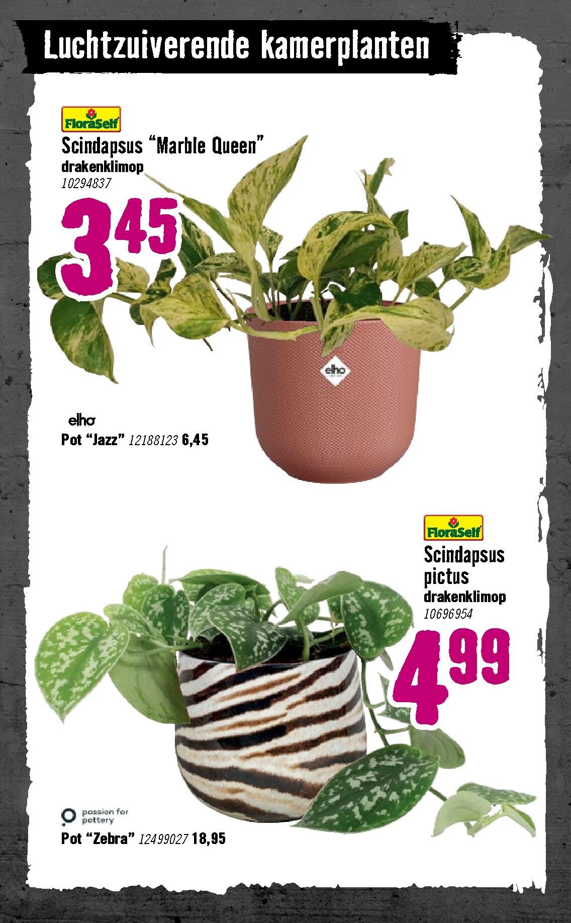 hornbach - De Hornbach folder geldig vanaf 05-01 t/m 08-02 - page: 76