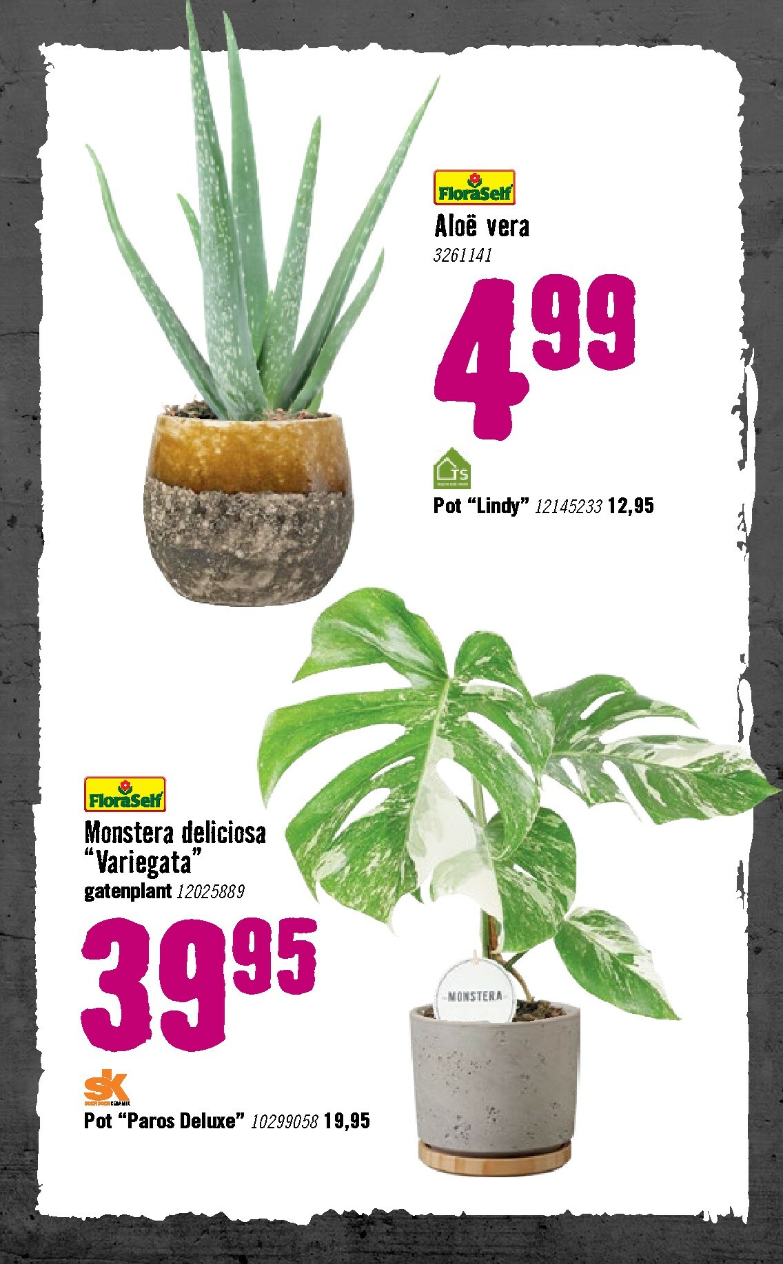 hornbach - De Hornbach folder geldig vanaf 05-01 t/m 08-02 - page: 71