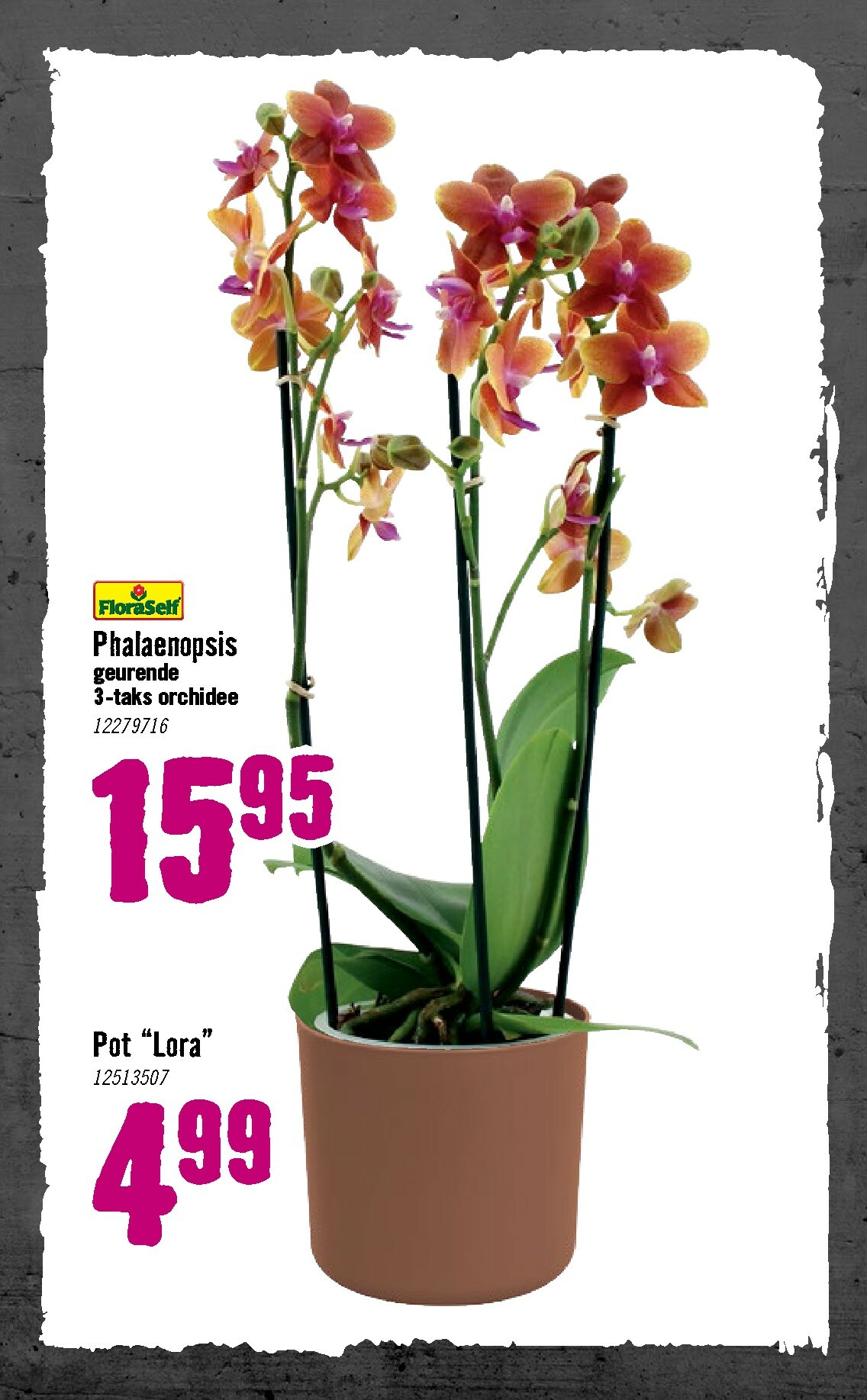 hornbach - De Hornbach folder geldig vanaf 05-01 t/m 08-02 - page: 73