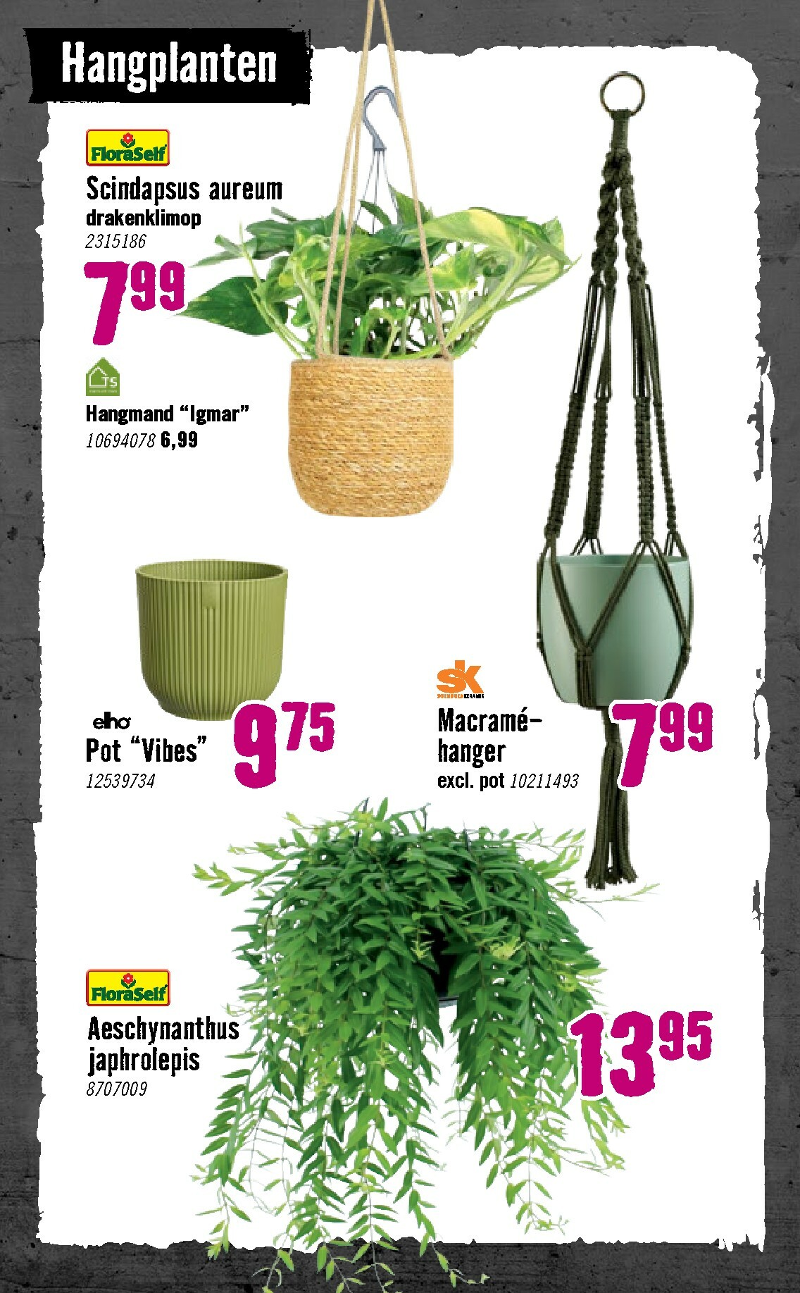 hornbach - De Hornbach folder geldig vanaf 05-01 t/m 08-02 - page: 75