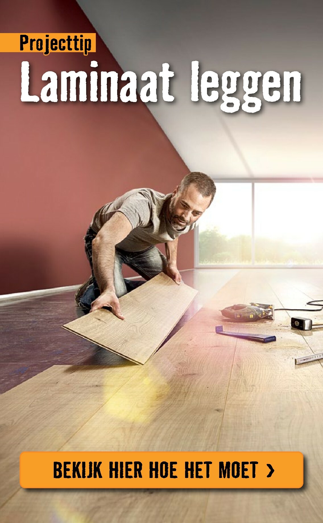 hornbach - De Hornbach folder geldig vanaf 05-01 t/m 08-02 - page: 61