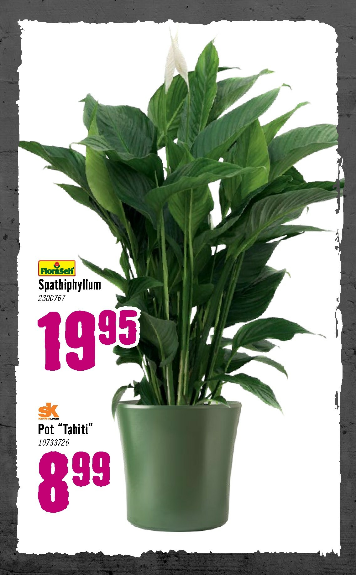 hornbach - De Hornbach folder geldig vanaf 05-01 t/m 08-02 - page: 74