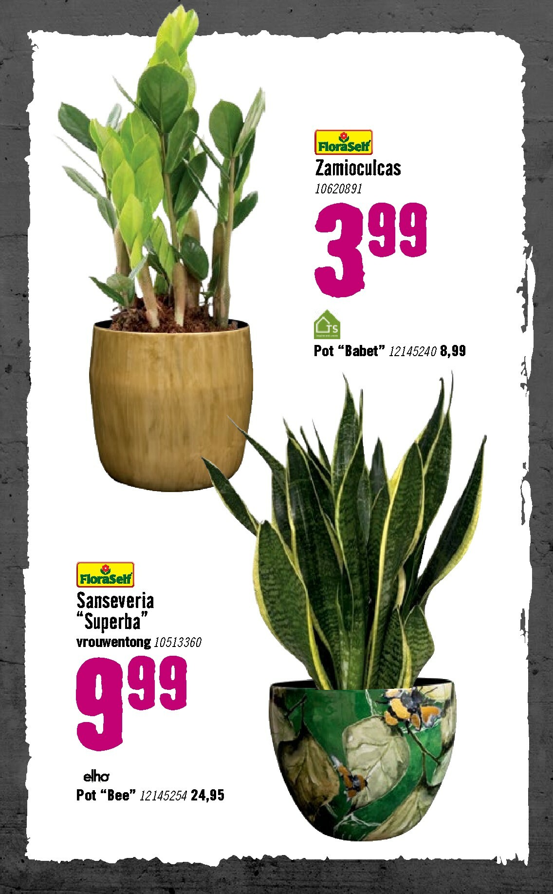 hornbach - De Hornbach folder geldig vanaf 05-01 t/m 08-02 - page: 77