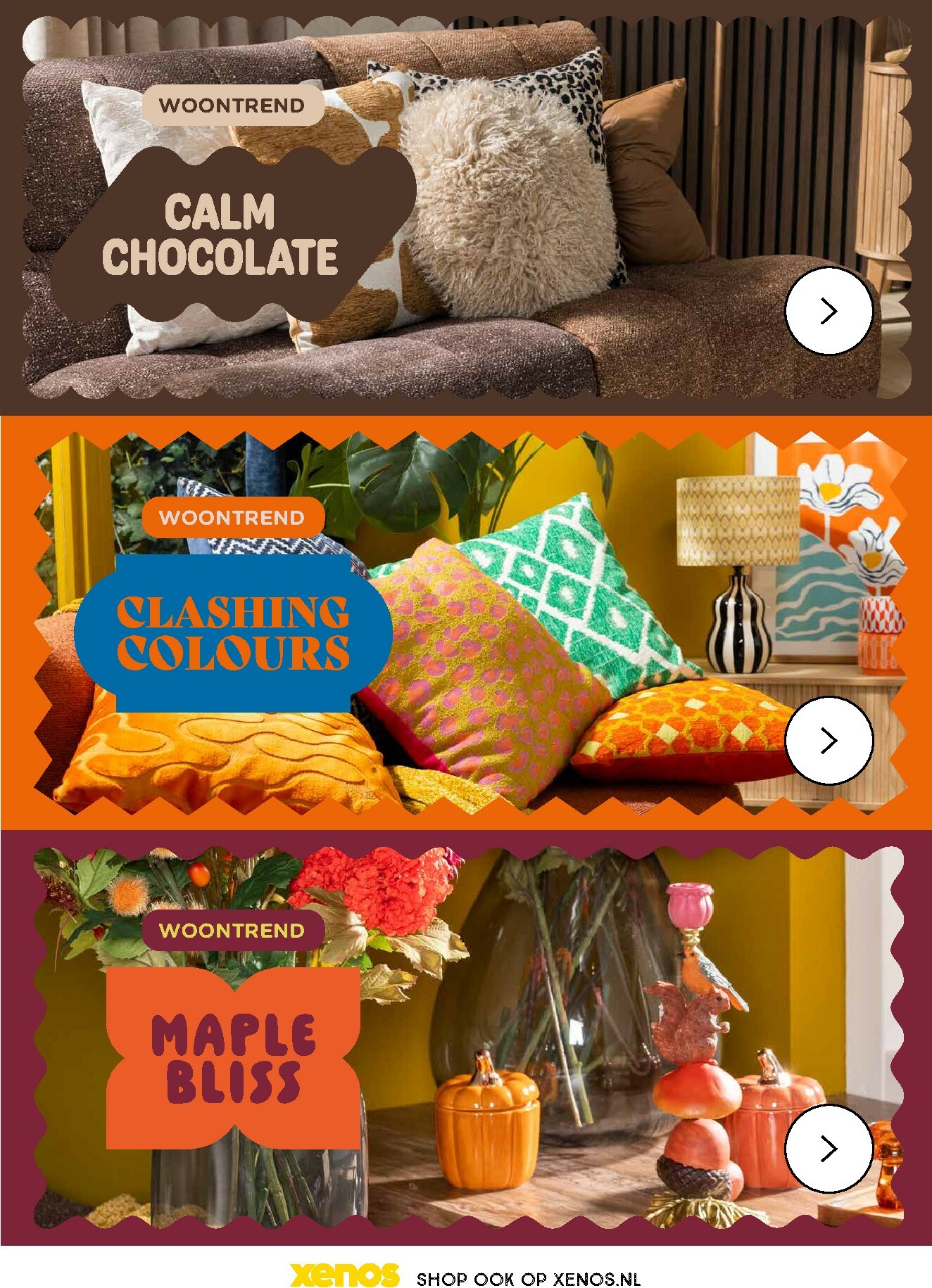 xenos - Xenos folder geldig vanaf 05-10 t/m 18-10 - page: 3