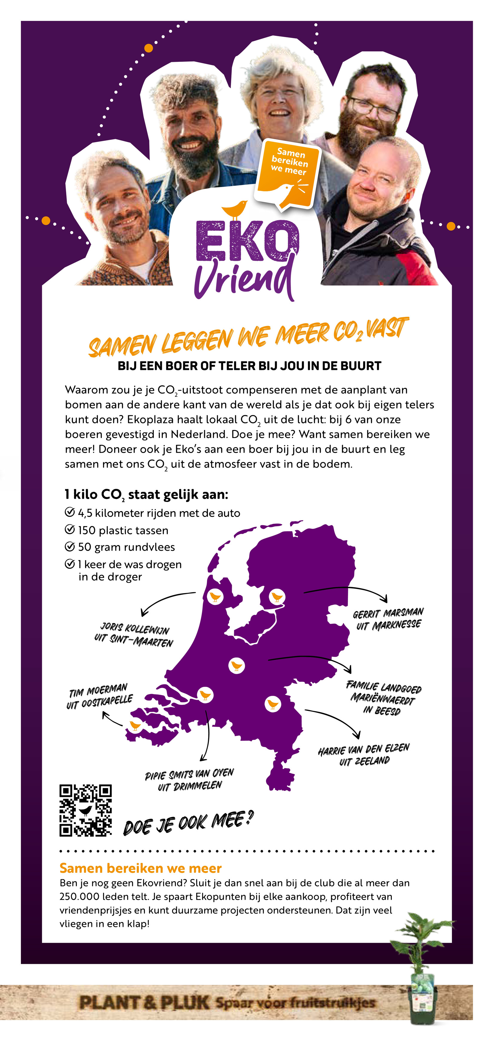 ekoplaza - Huidige Ekoplaza folder geldig van woensdag 20-05-2026 tot dinsdag 26-05-2026 - page: 13