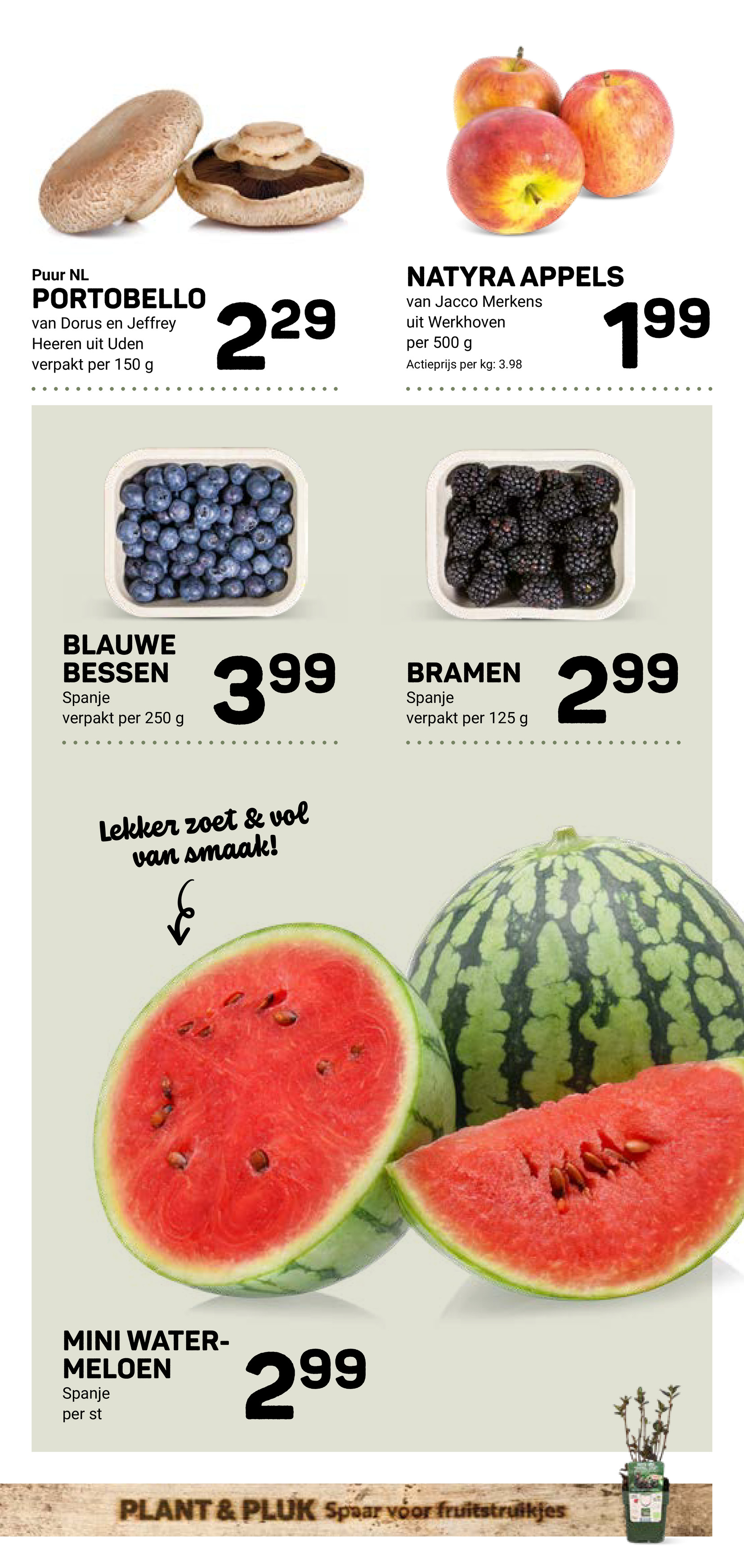 ekoplaza - Huidige Ekoplaza folder geldig van woensdag 03-06-2026 tot dinsdag 09-06-2026 - page: 7