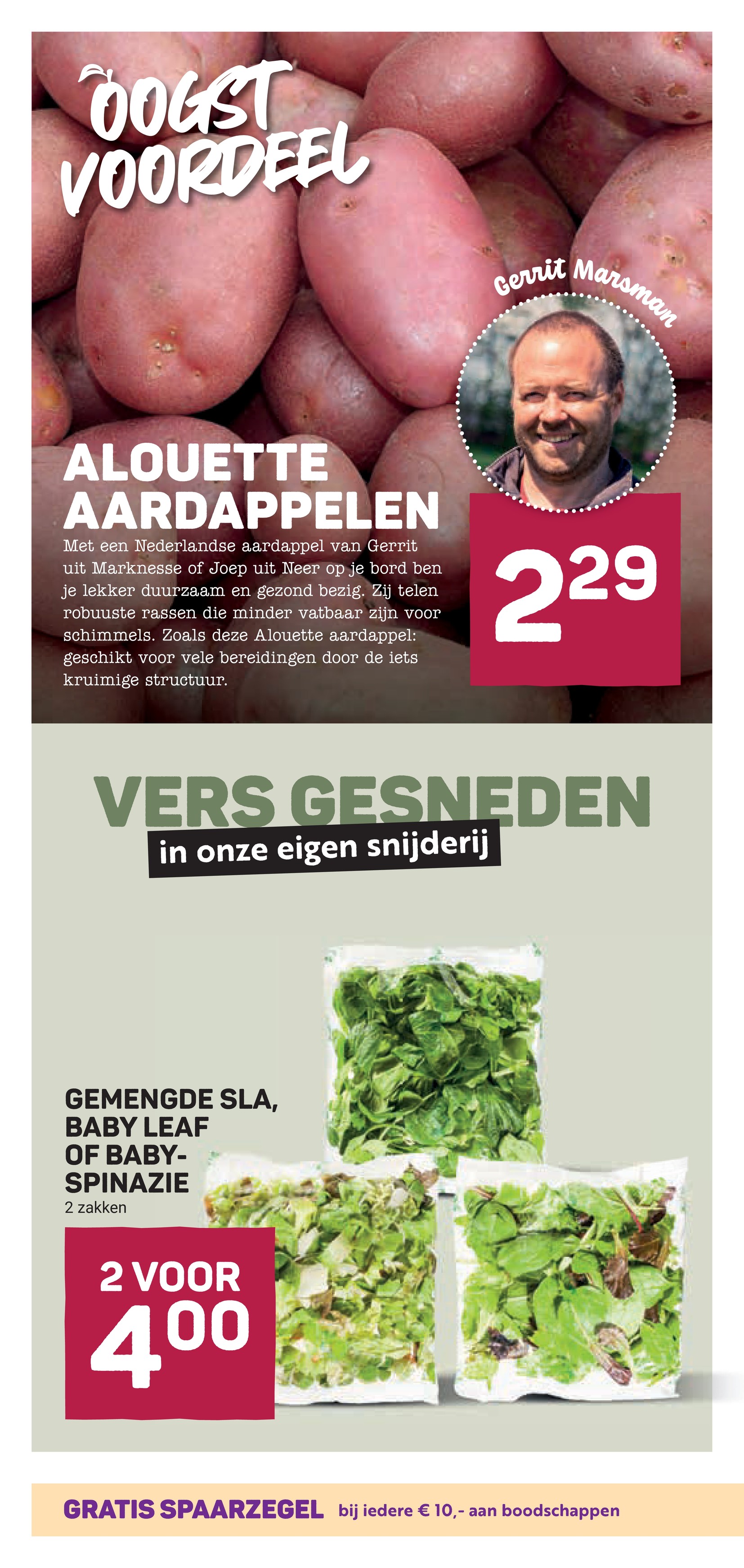 ekoplaza - Huidige Ekoplaza folder geldig van woensdag 15-07-2026 tot dinsdag 21-07-2026 - page: 10