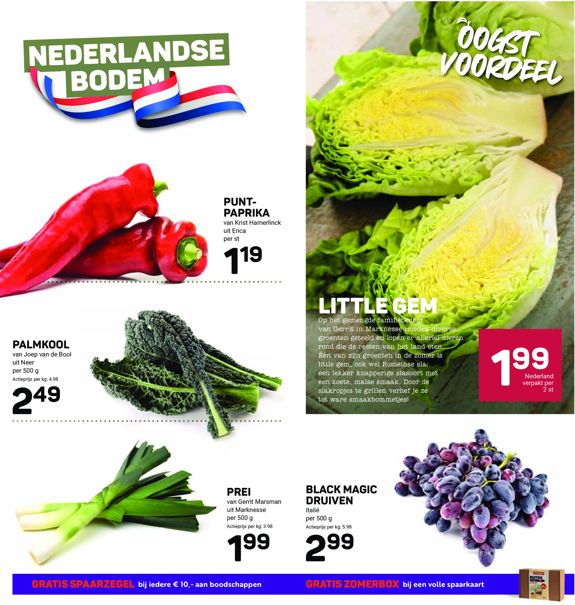 ekoplaza - Ekoplaza folder geldig vanaf 23-07 t/m 29-07 - page: 8