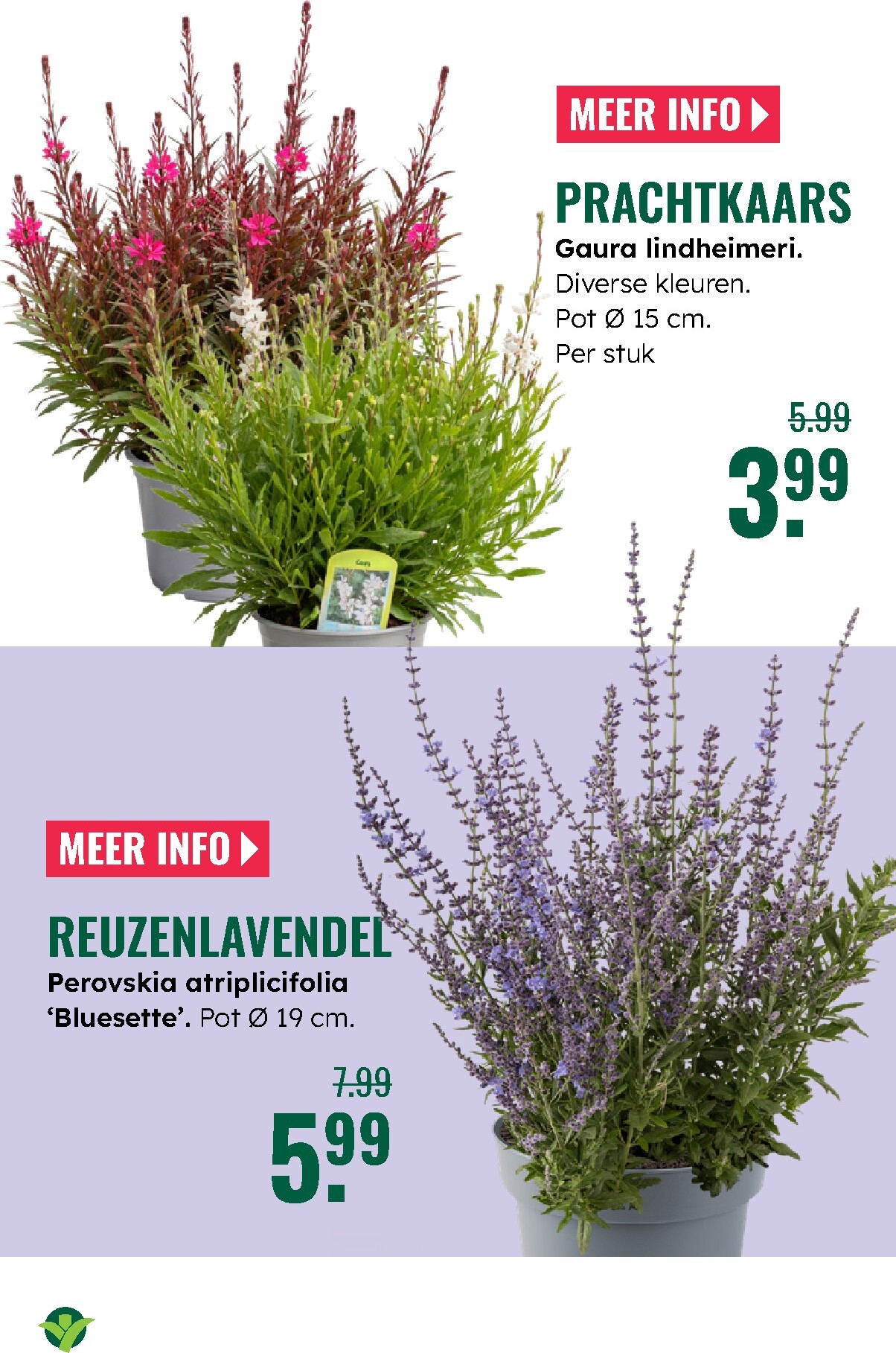 groenrijk - Huidige GroenRijk folder geldig van donderdag 18-06-2026 tot woensdag 24-06-2026 - page: 4