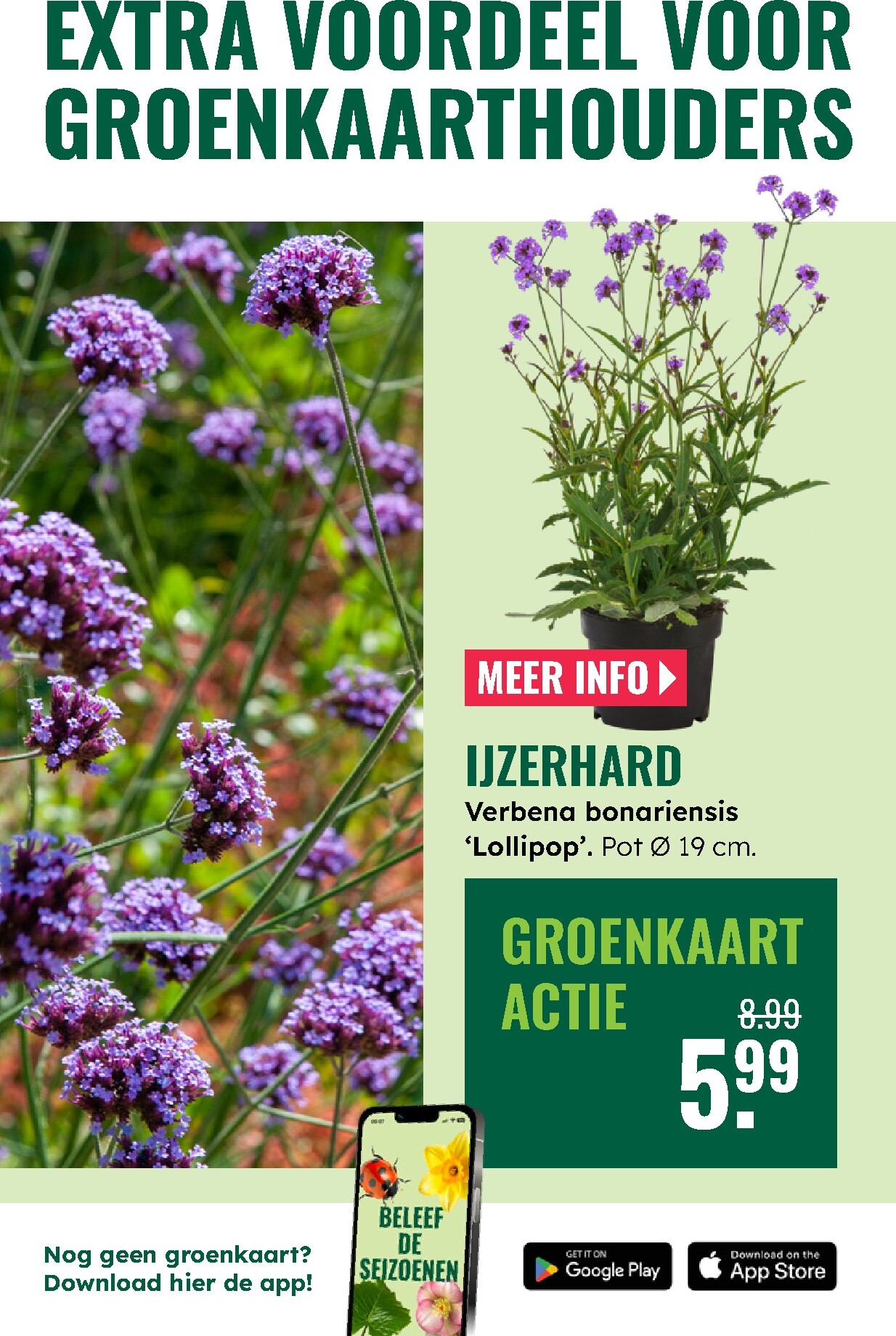 groenrijk - Huidige GroenRijk folder geldig van donderdag 18-06-2026 tot woensdag 24-06-2026 - page: 14