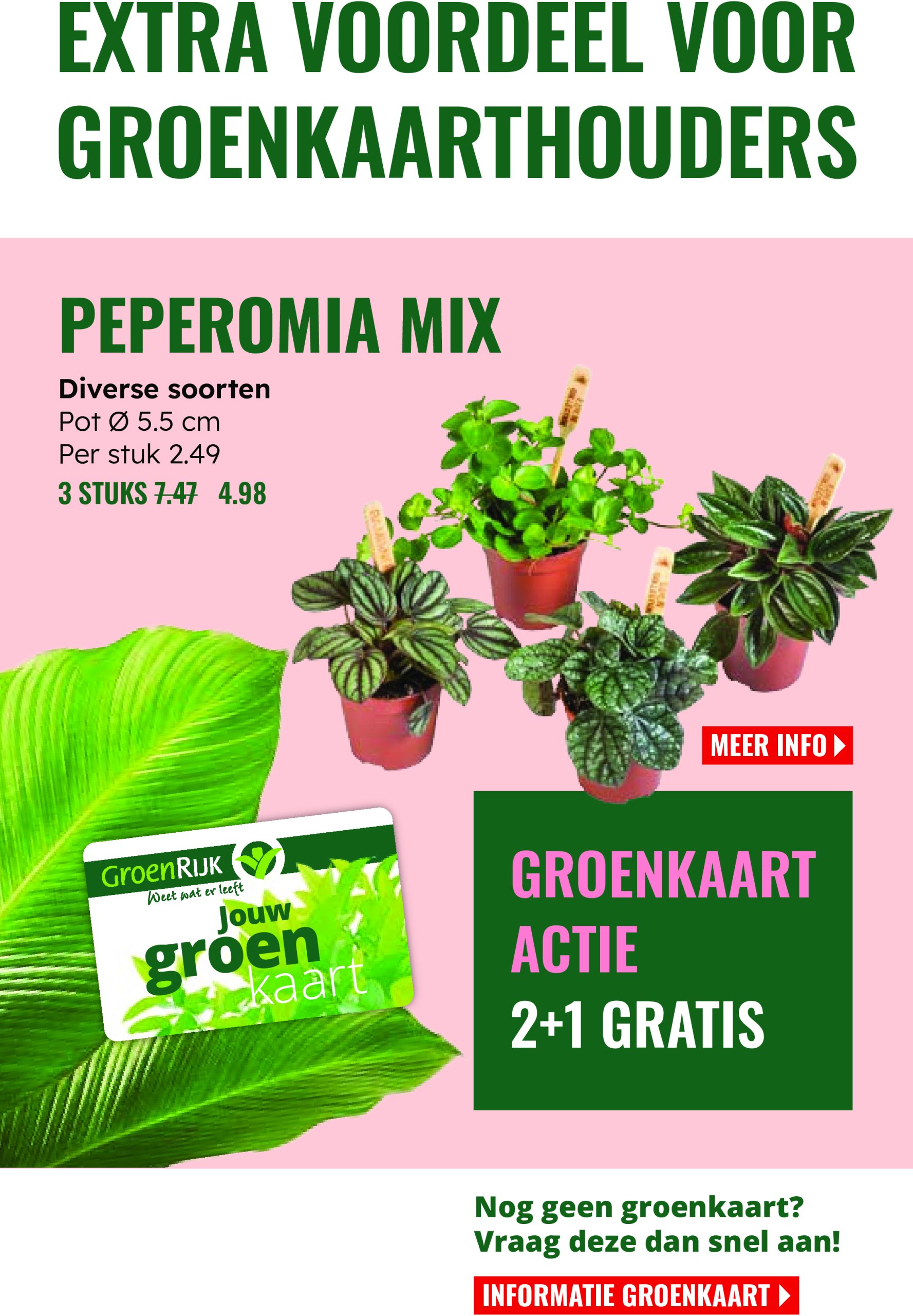 groenrijk - GroenRijk folder geldig vanaf 27-12 t/m 07-01 - page: 10