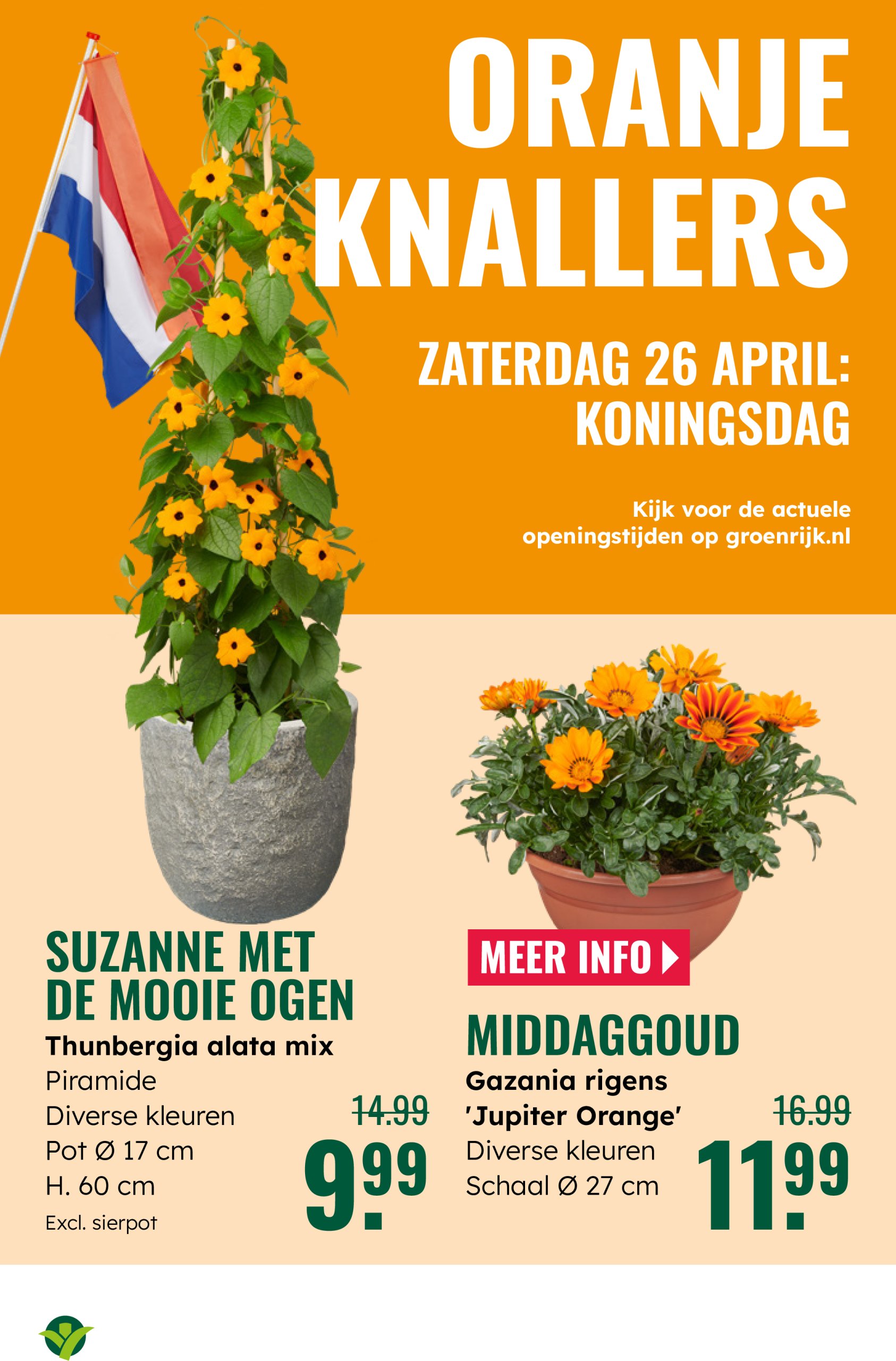 groenrijk - GroenRijk folder geldig vanaf 16-04 t/m 29-04 - page: 9