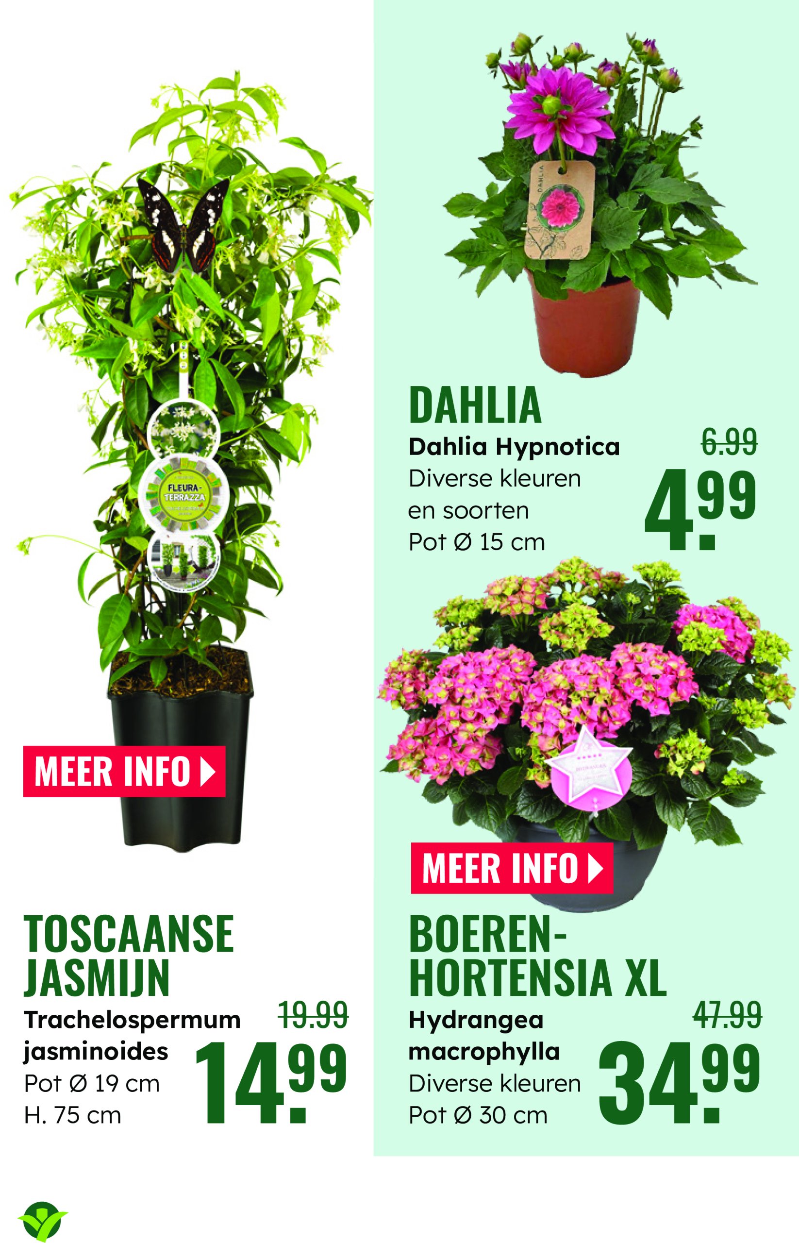 groenrijk - GroenRijk folder geldig vanaf 28-05 t/m 03-06 - page: 6