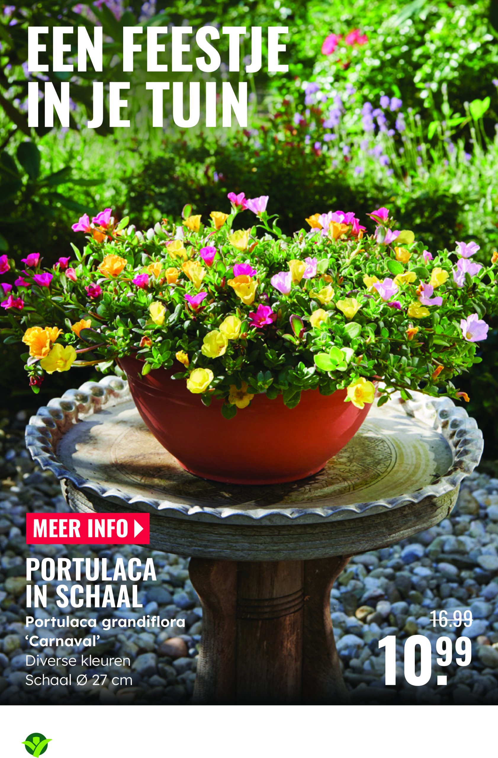 groenrijk - GroenRijk folder geldig vanaf 28-05 t/m 03-06 - page: 3