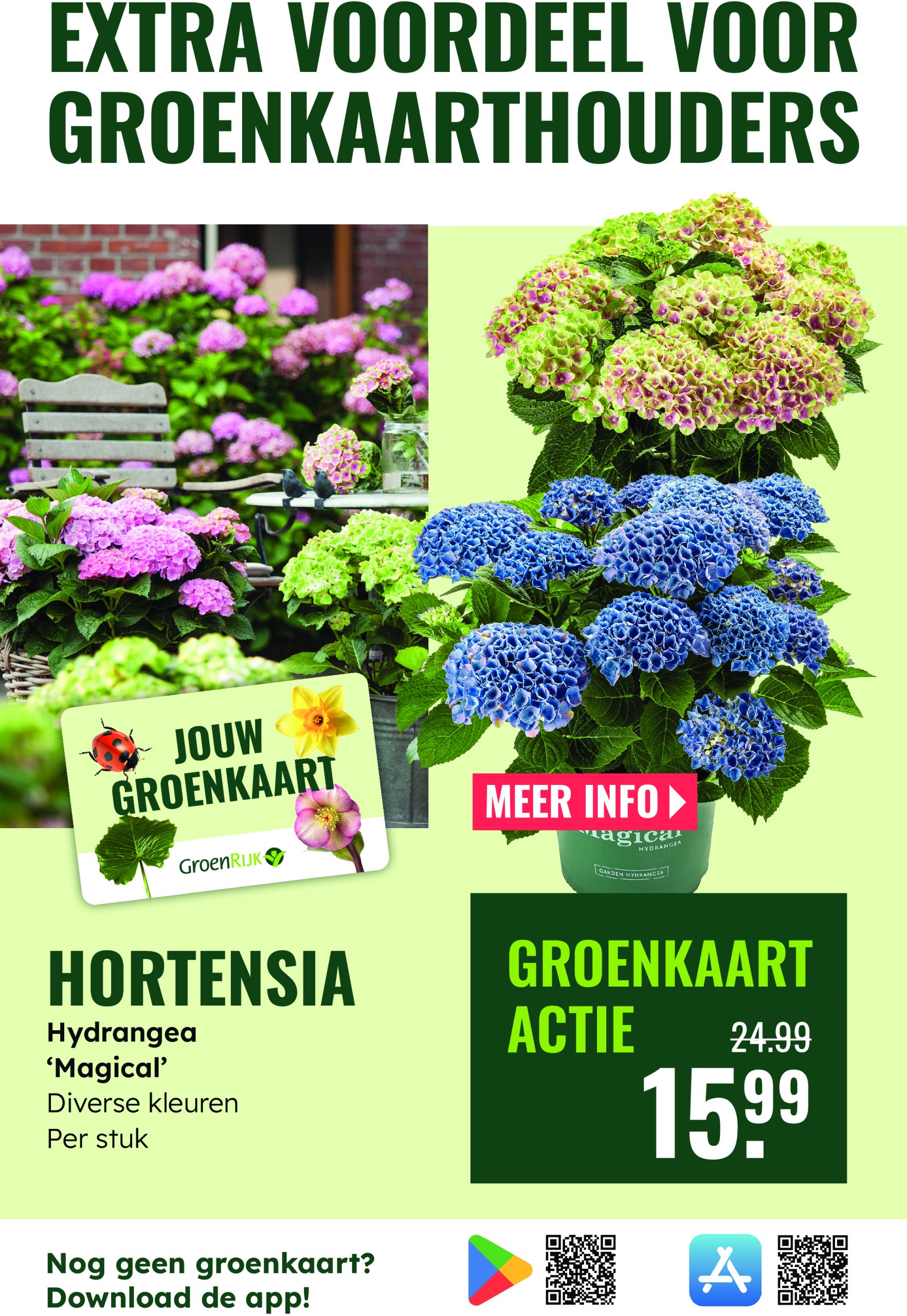 groenrijk - GroenRijk folder geldig vanaf 28-05 t/m 03-06 - page: 17