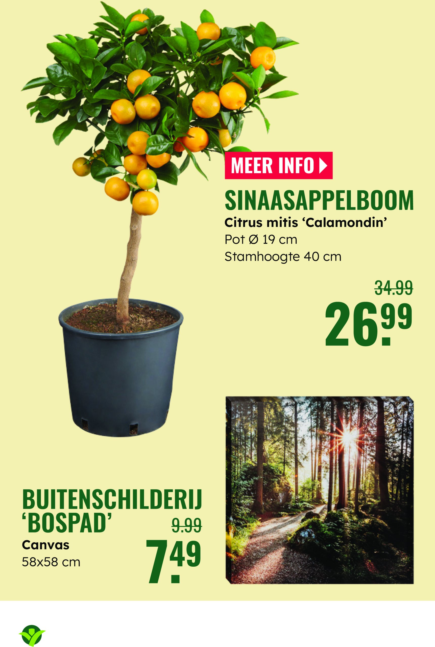 groenrijk - GroenRijk folder geldig vanaf 28-05 t/m 03-06 - page: 11