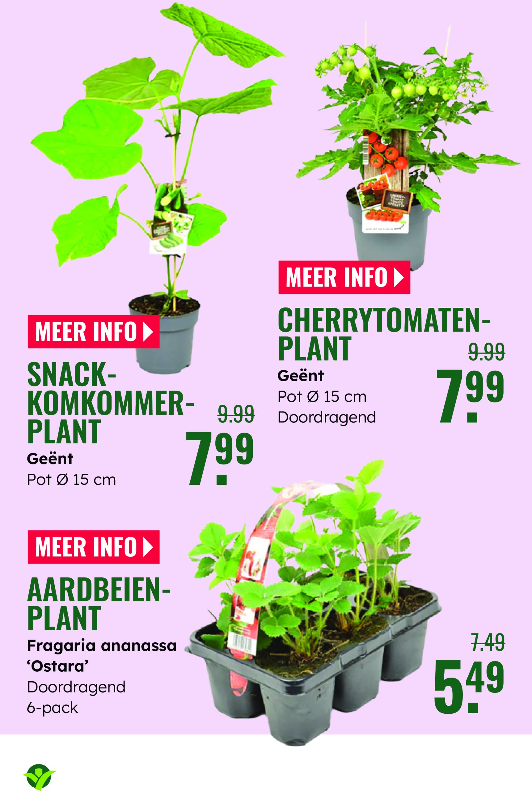 groenrijk - GroenRijk folder geldig vanaf 28-05 t/m 03-06 - page: 15