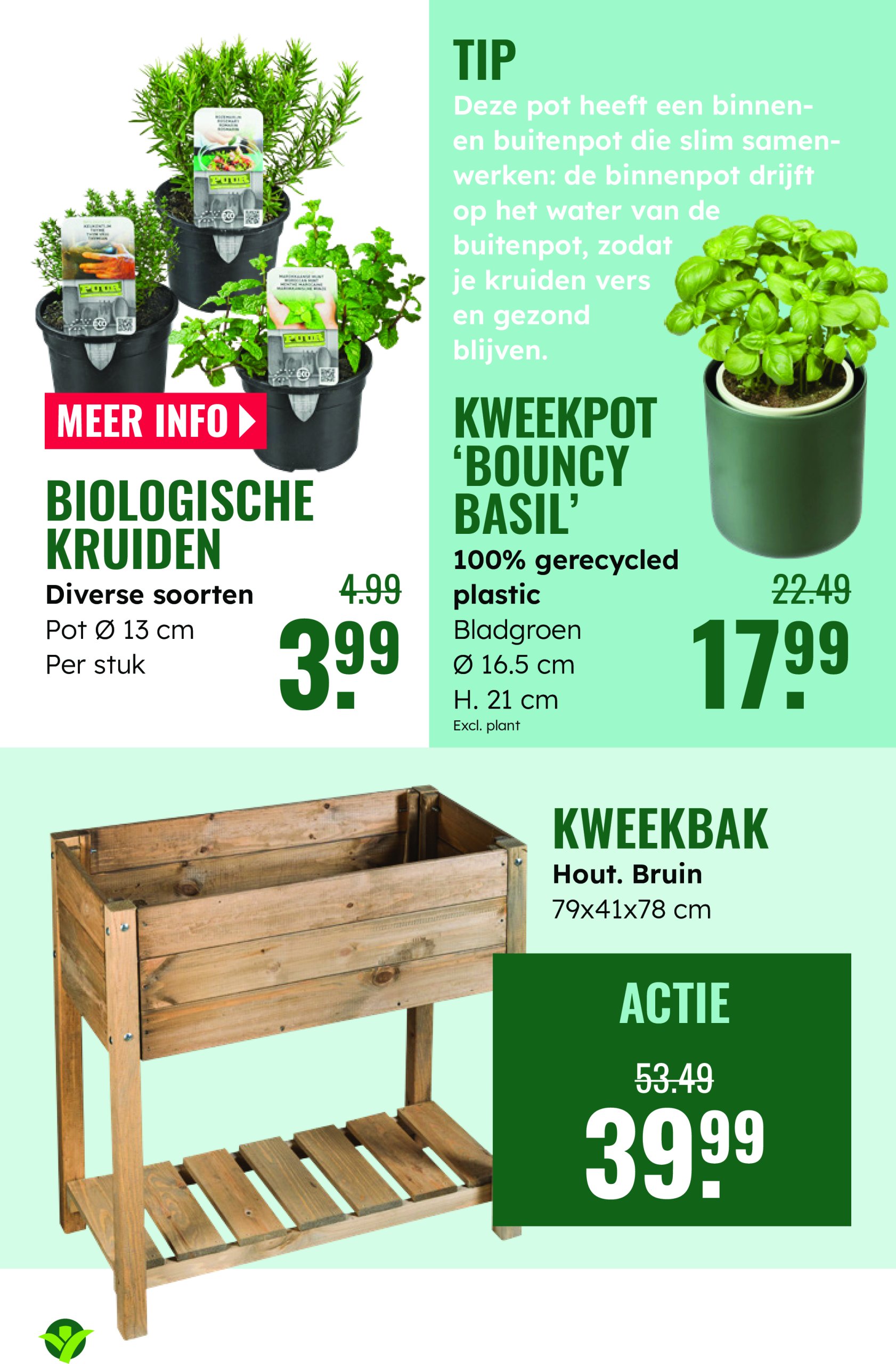 groenrijk - GroenRijk folder geldig vanaf 28-05 t/m 03-06 - page: 13