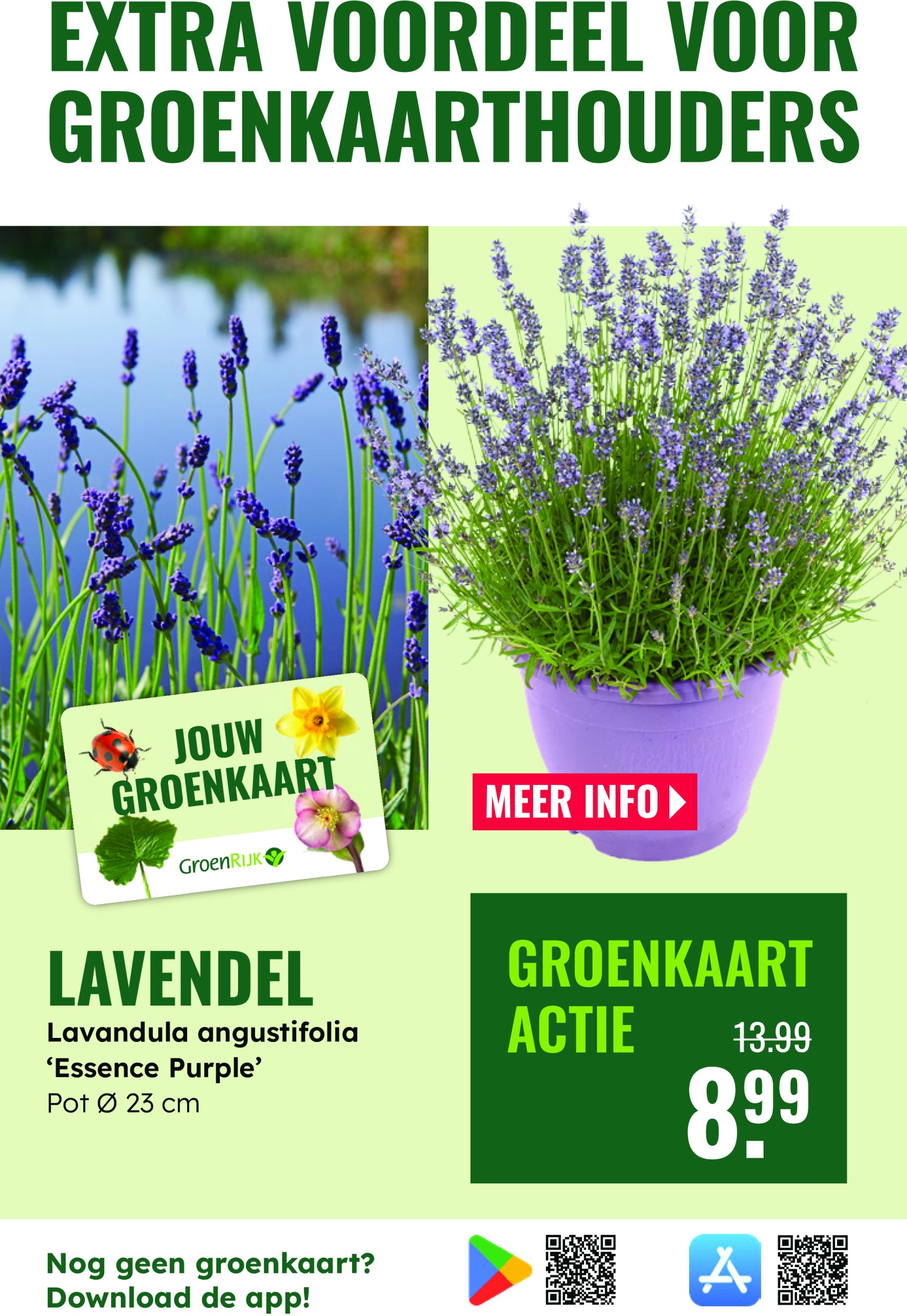 groenrijk - GroenRijk folder geldig vanaf 28-05 t/m 03-06 - page: 9