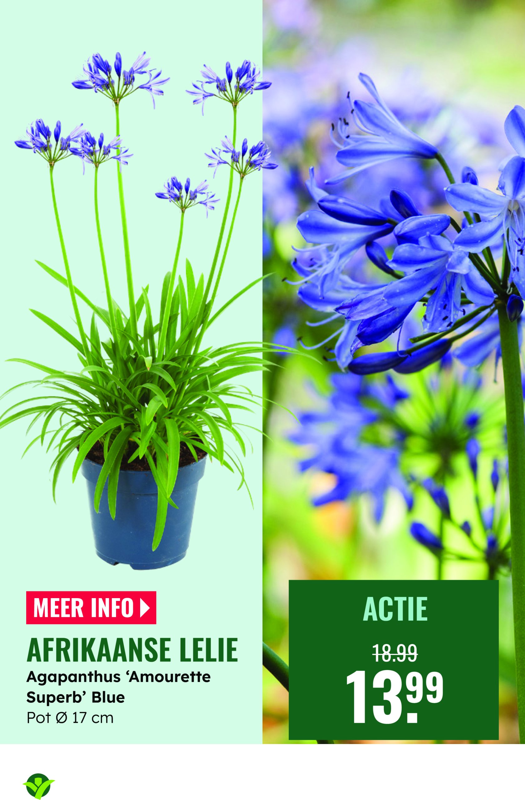 groenrijk - GroenRijk folder geldig vanaf 28-05 t/m 03-06 - page: 7