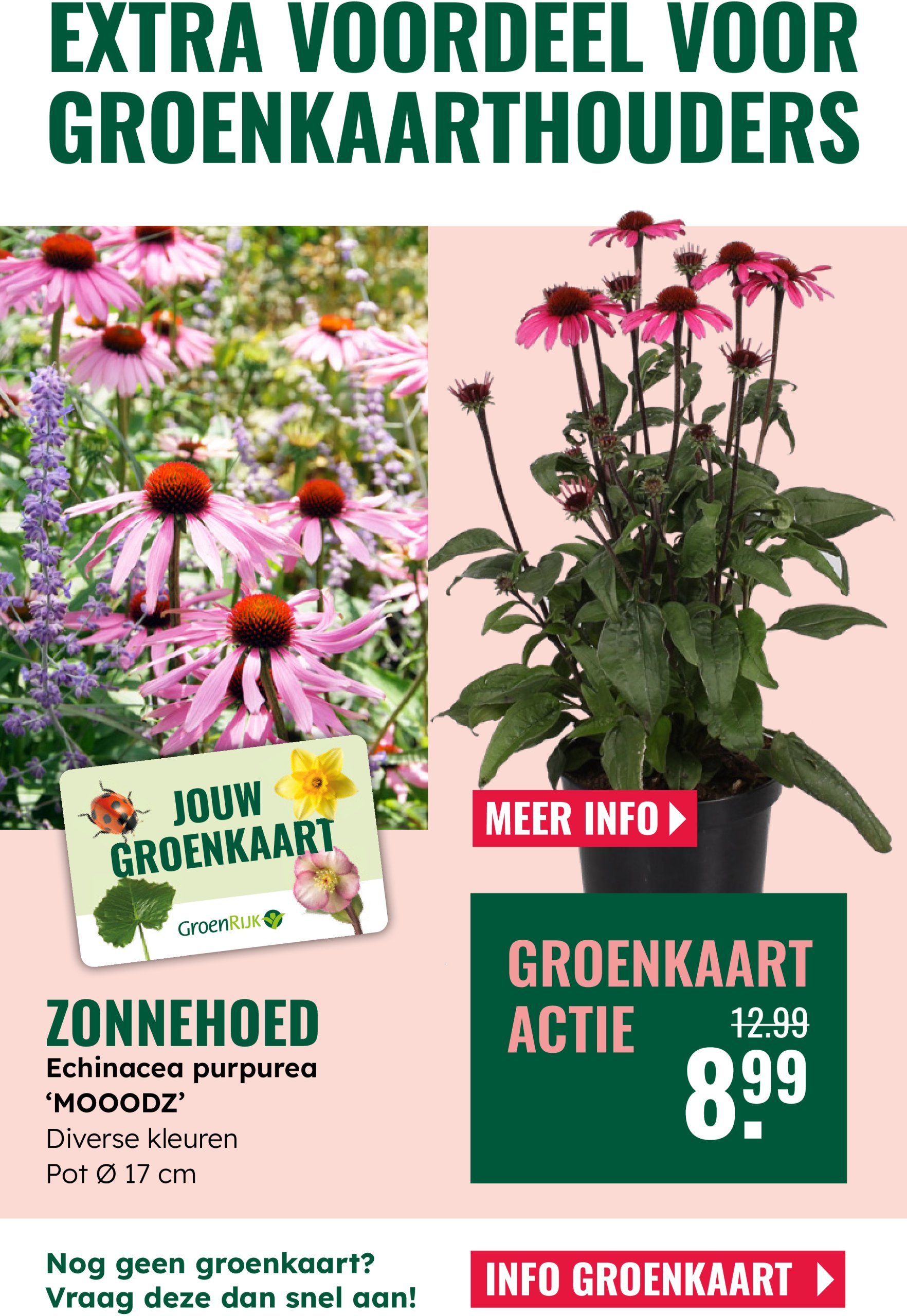 groenrijk - GroenRijk folder geldig vanaf 04-06 t/m 17-06 - page: 20