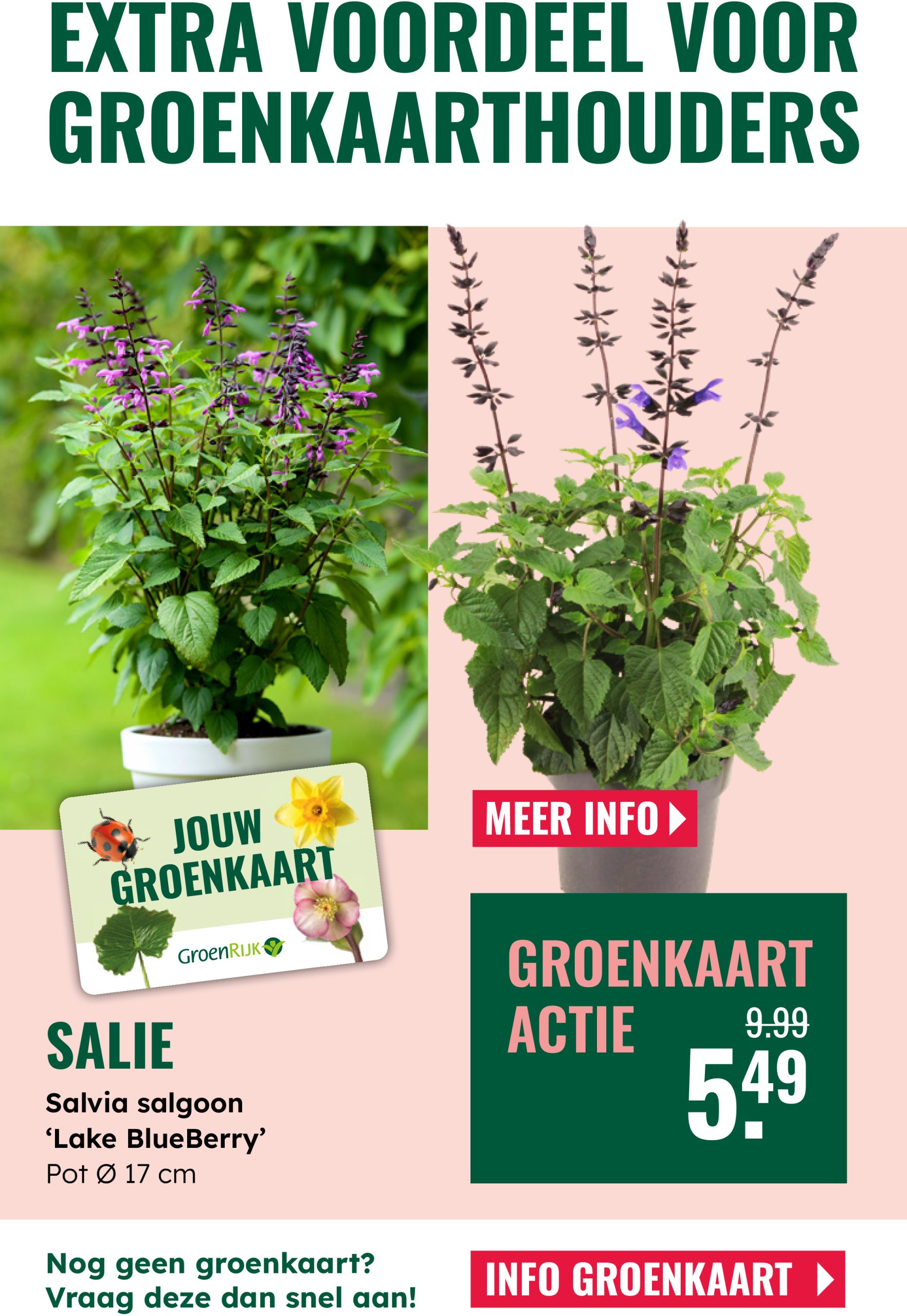 groenrijk - GroenRijk folder geldig vanaf 04-06 t/m 17-06 - page: 10