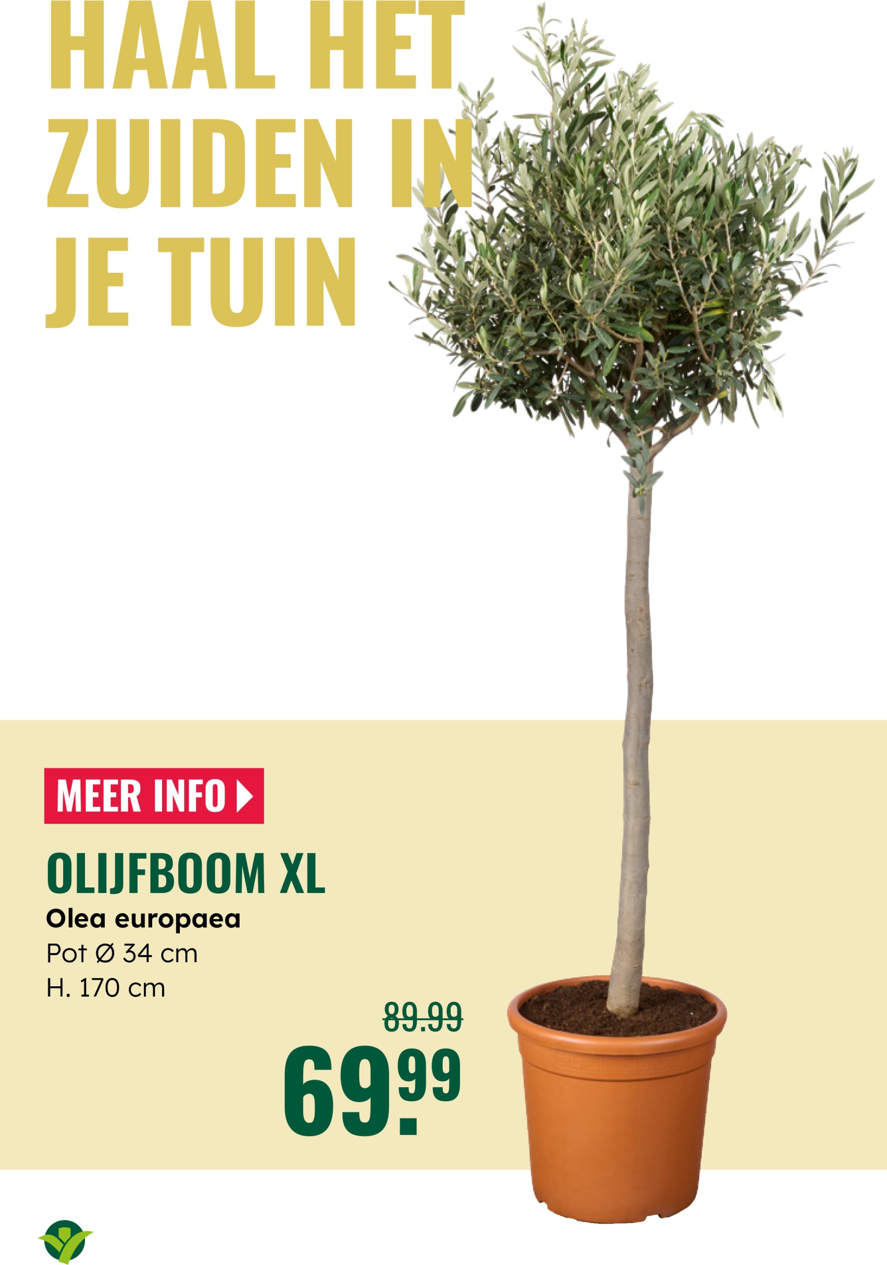 groenrijk - GroenRijk folder geldig vanaf 04-06 t/m 17-06 - page: 16