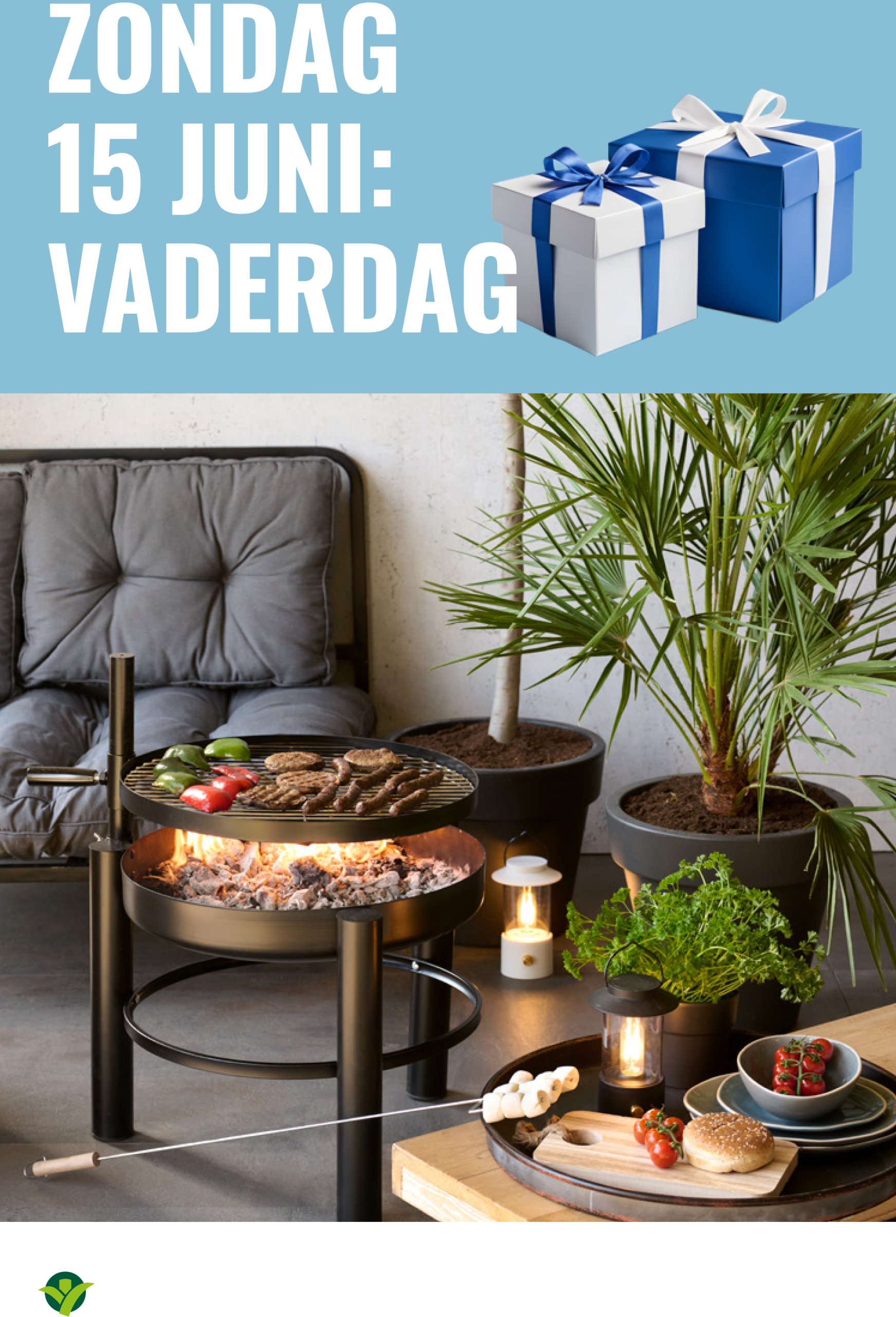 groenrijk - GroenRijk folder geldig vanaf 04-06 t/m 17-06 - page: 12